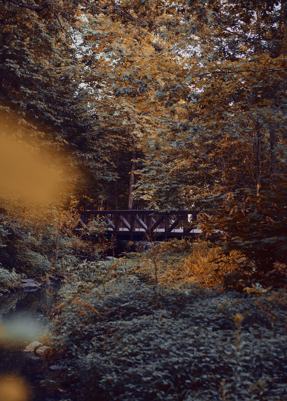 a bridge in the middle of a forest