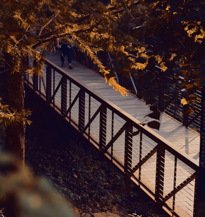 a person walking across a bridge in the woods