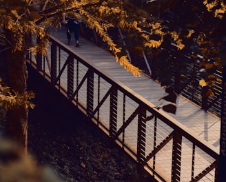 a person walking across a bridge in the woods
