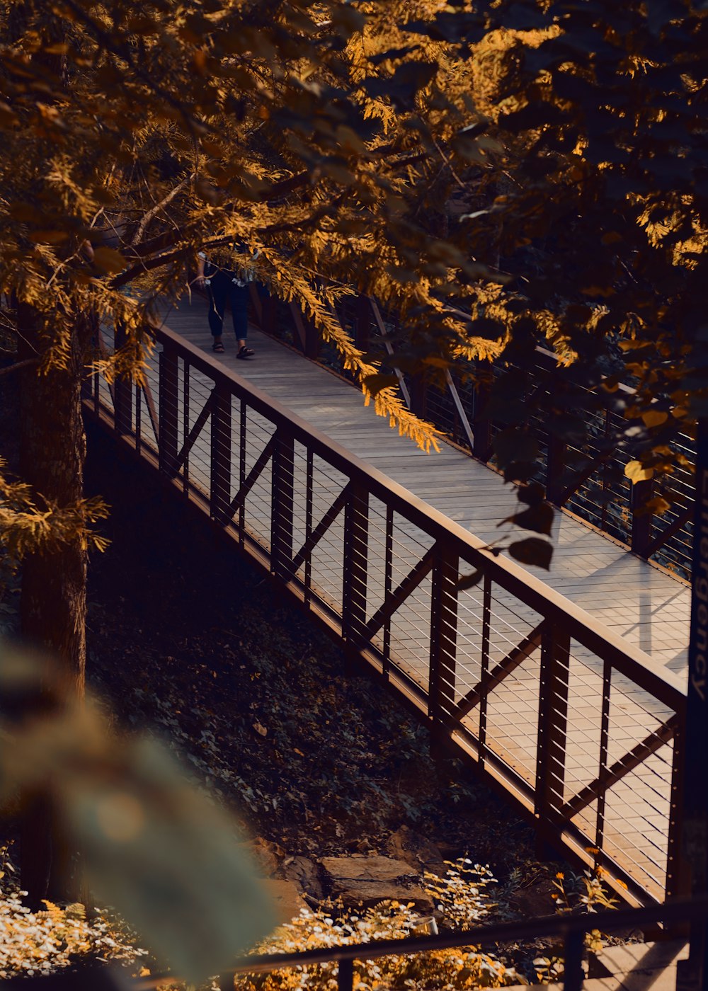 a person walking across a bridge in the woods