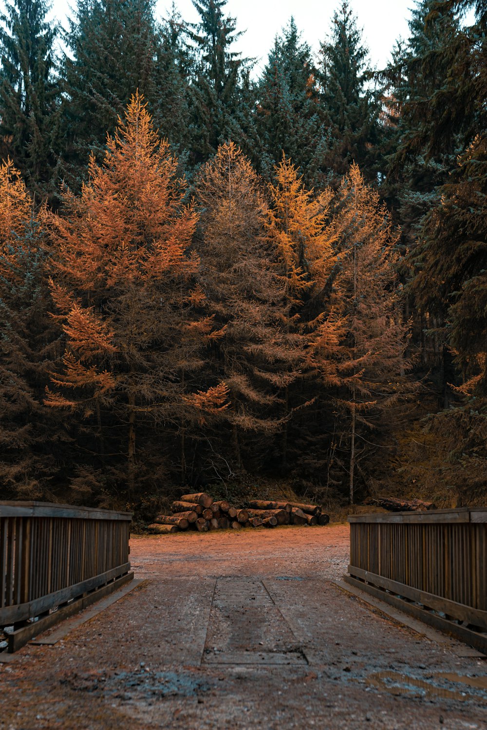 a wooden bridge over a dirt road surrounded by trees