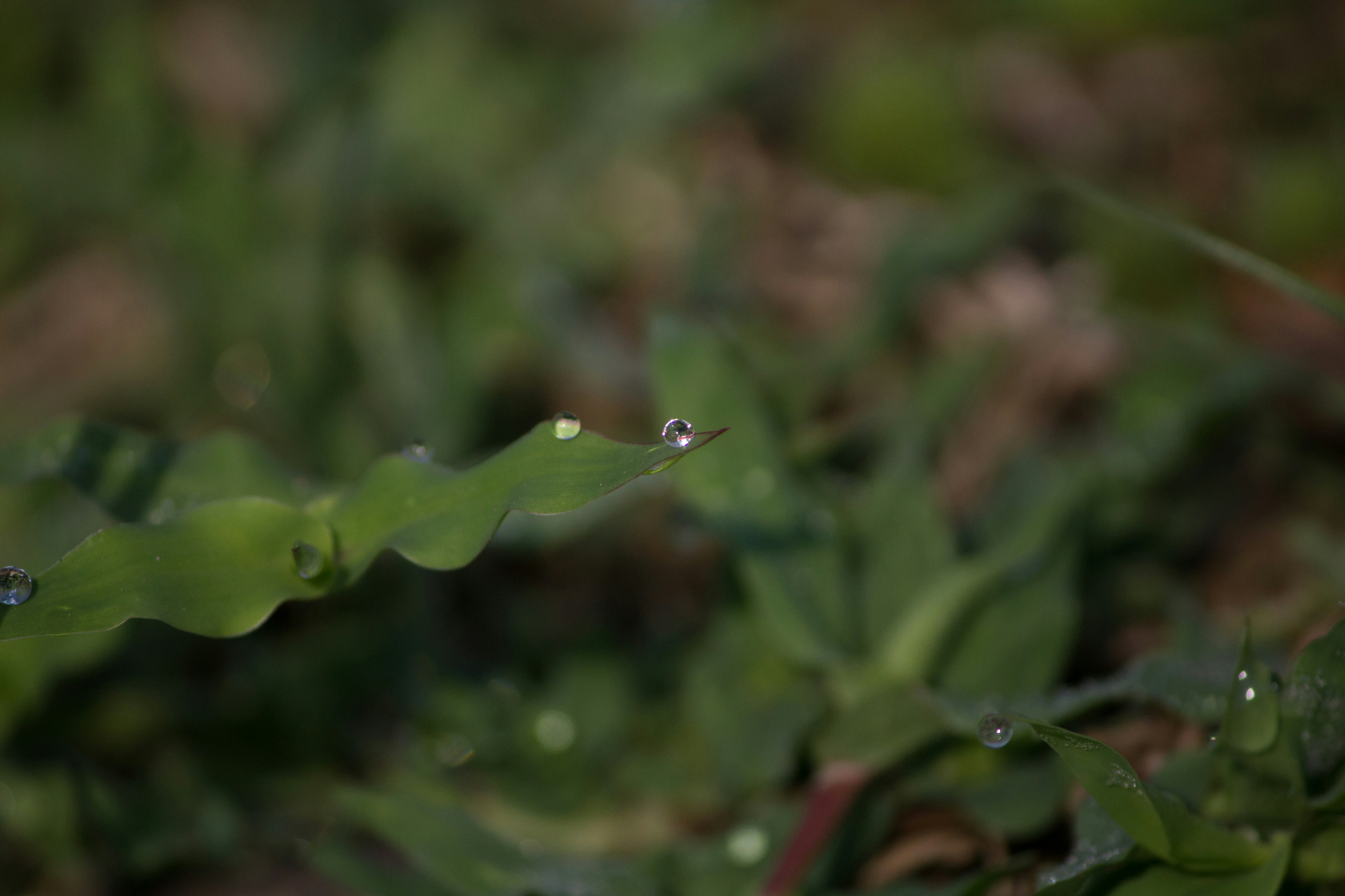 Photo by srvnsatiz