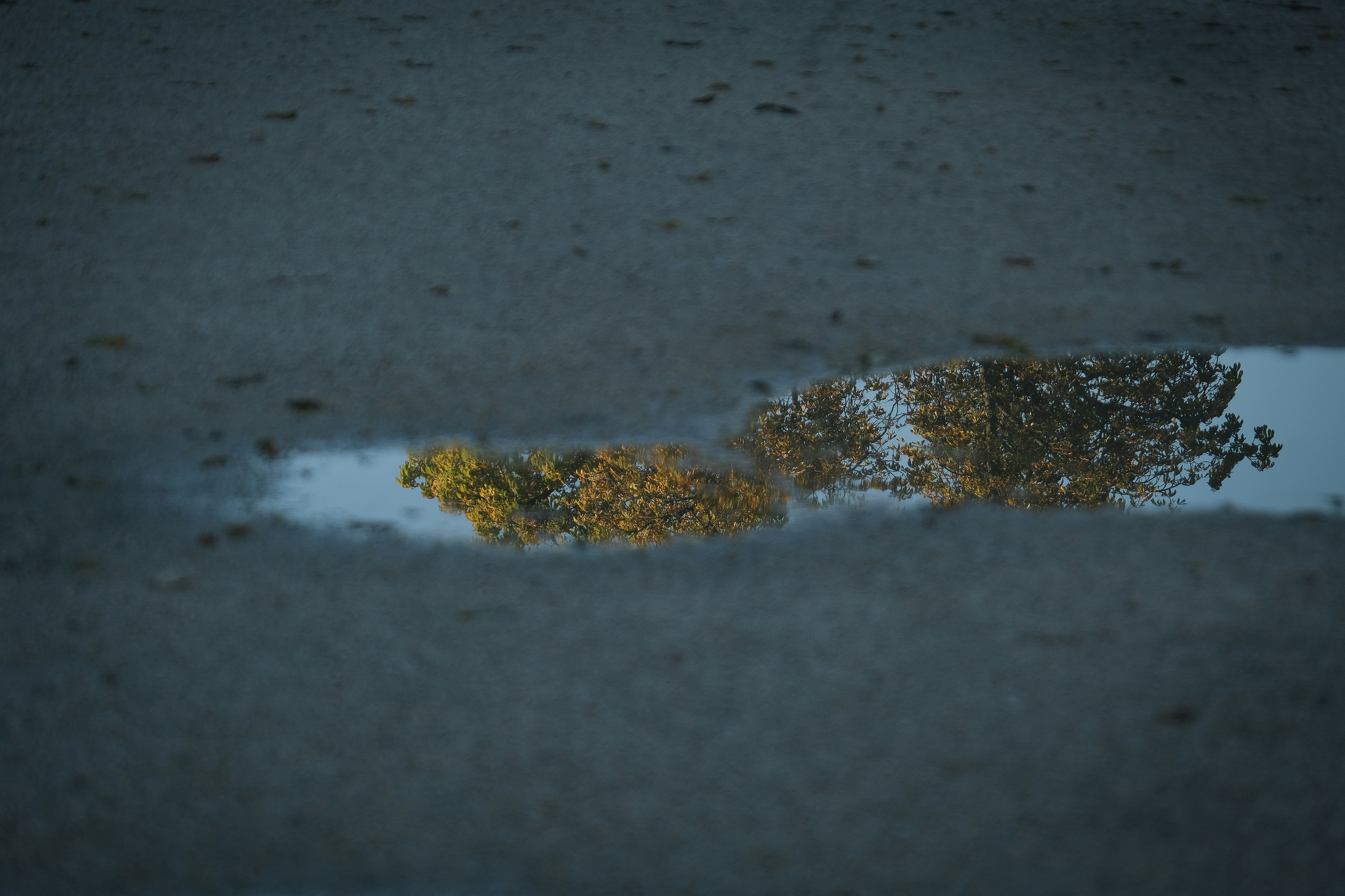 Photo by francesco_ungaro