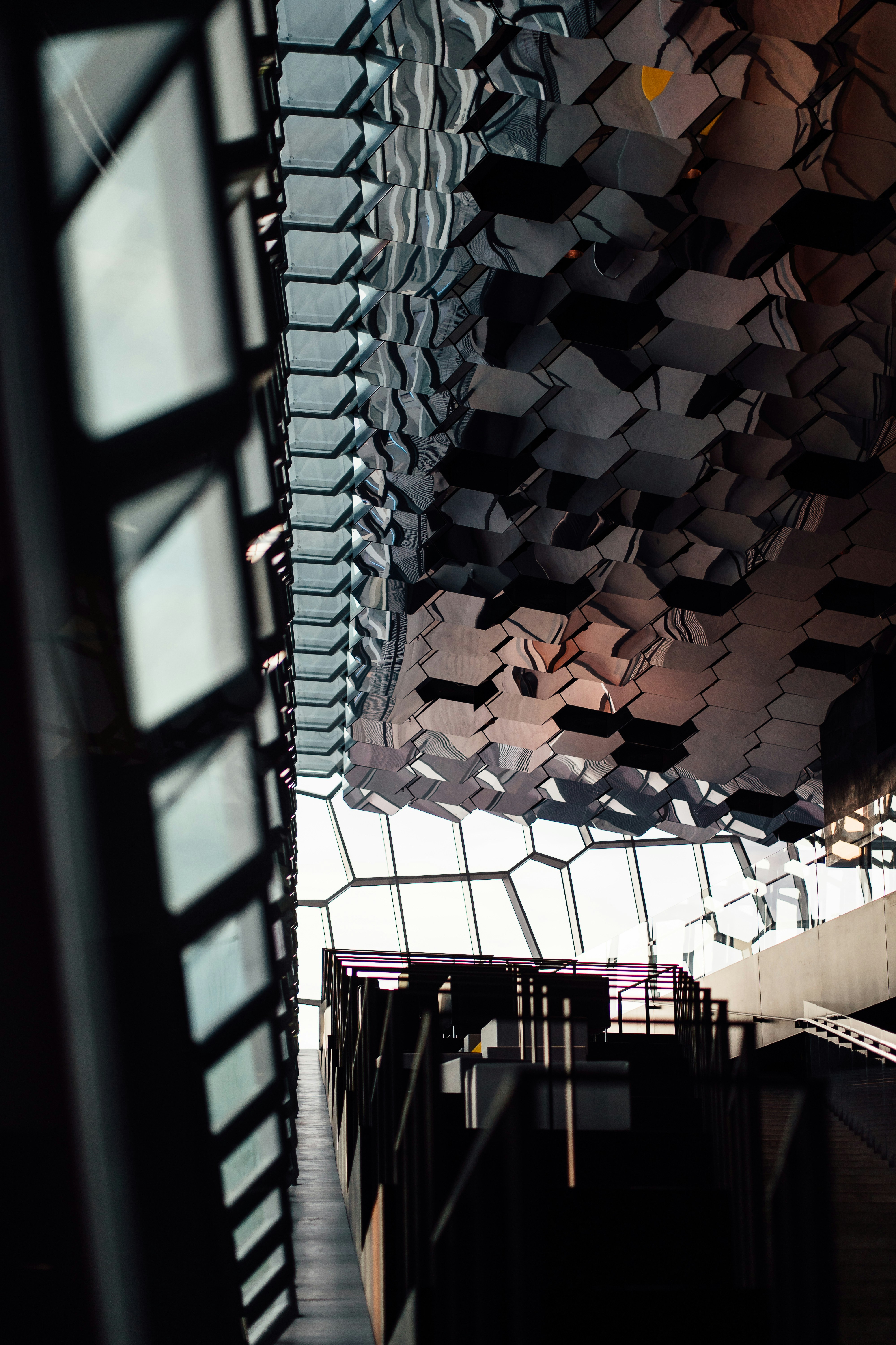 Photo by real_jansen