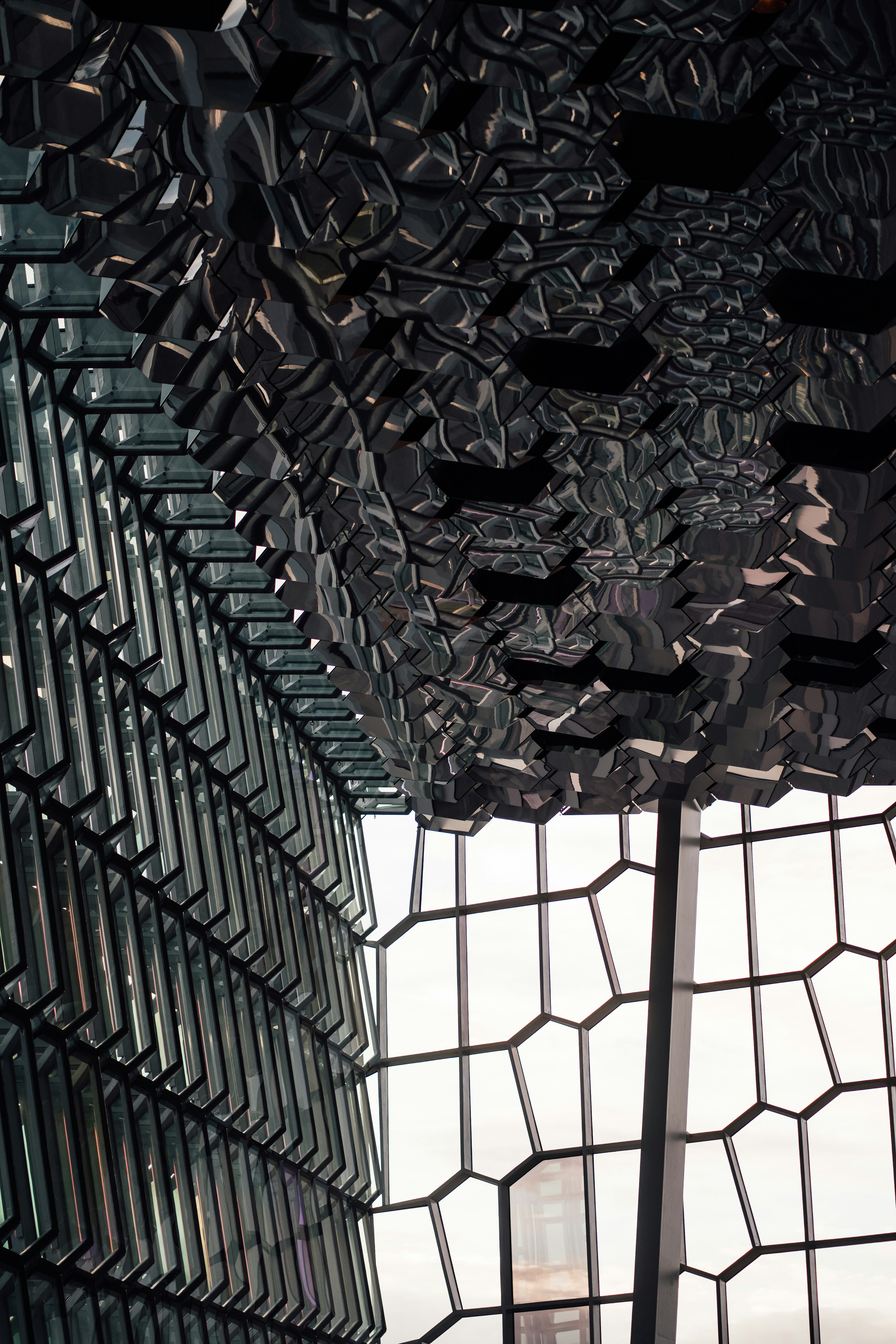 Photo by real_jansen