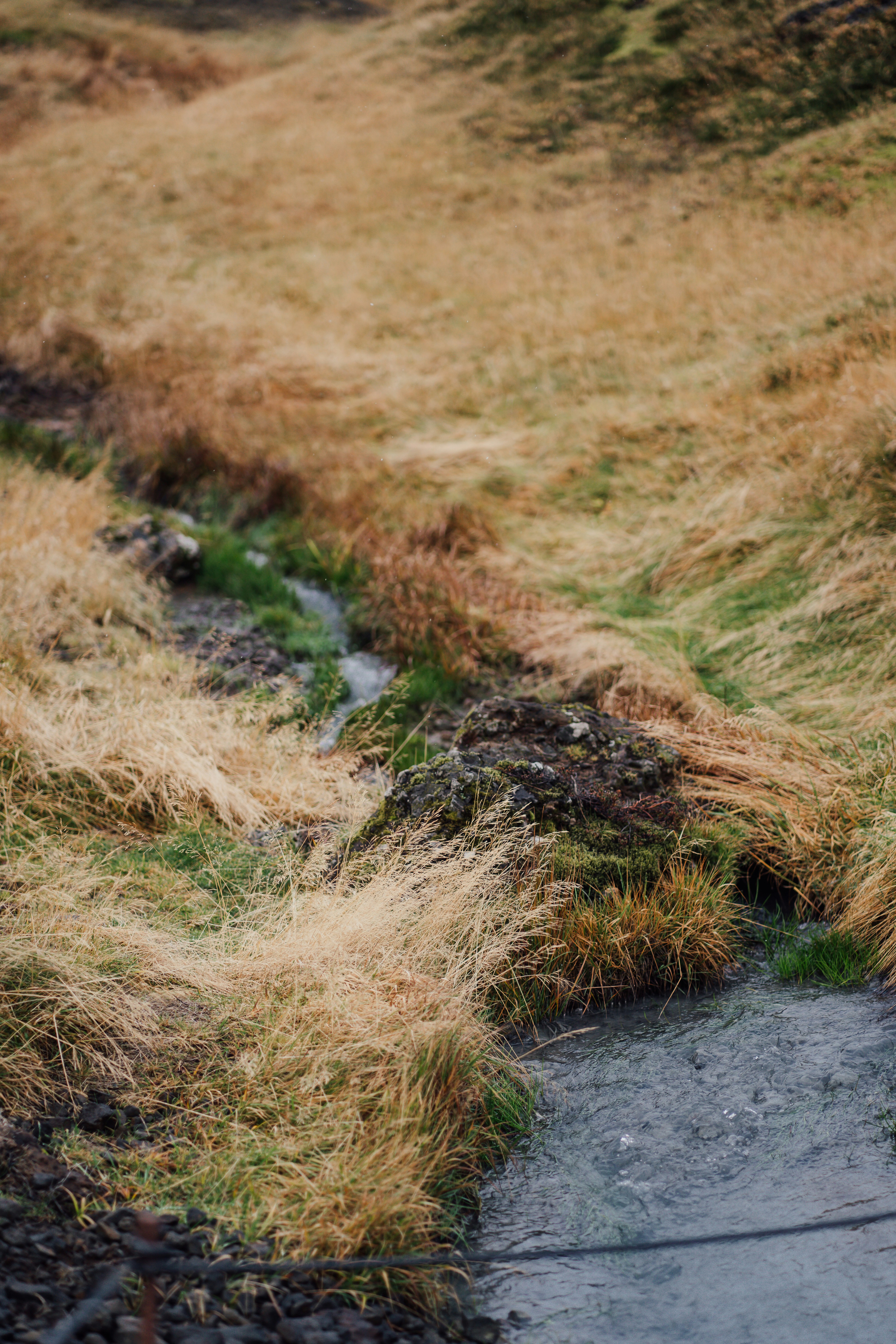 Photo by real_jansen