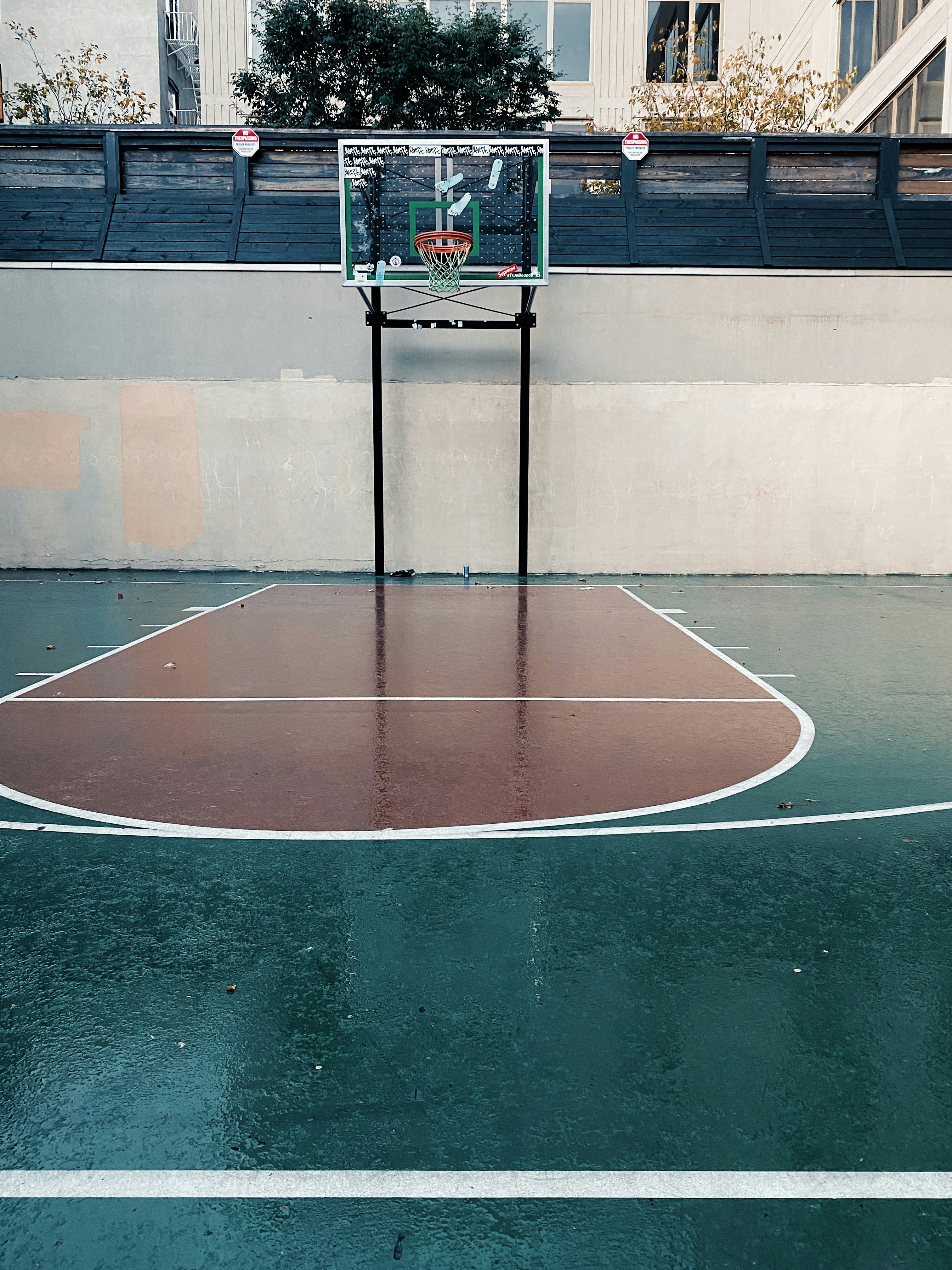 Choose from a curated selection of basketball photos. Always free on Unsplash.