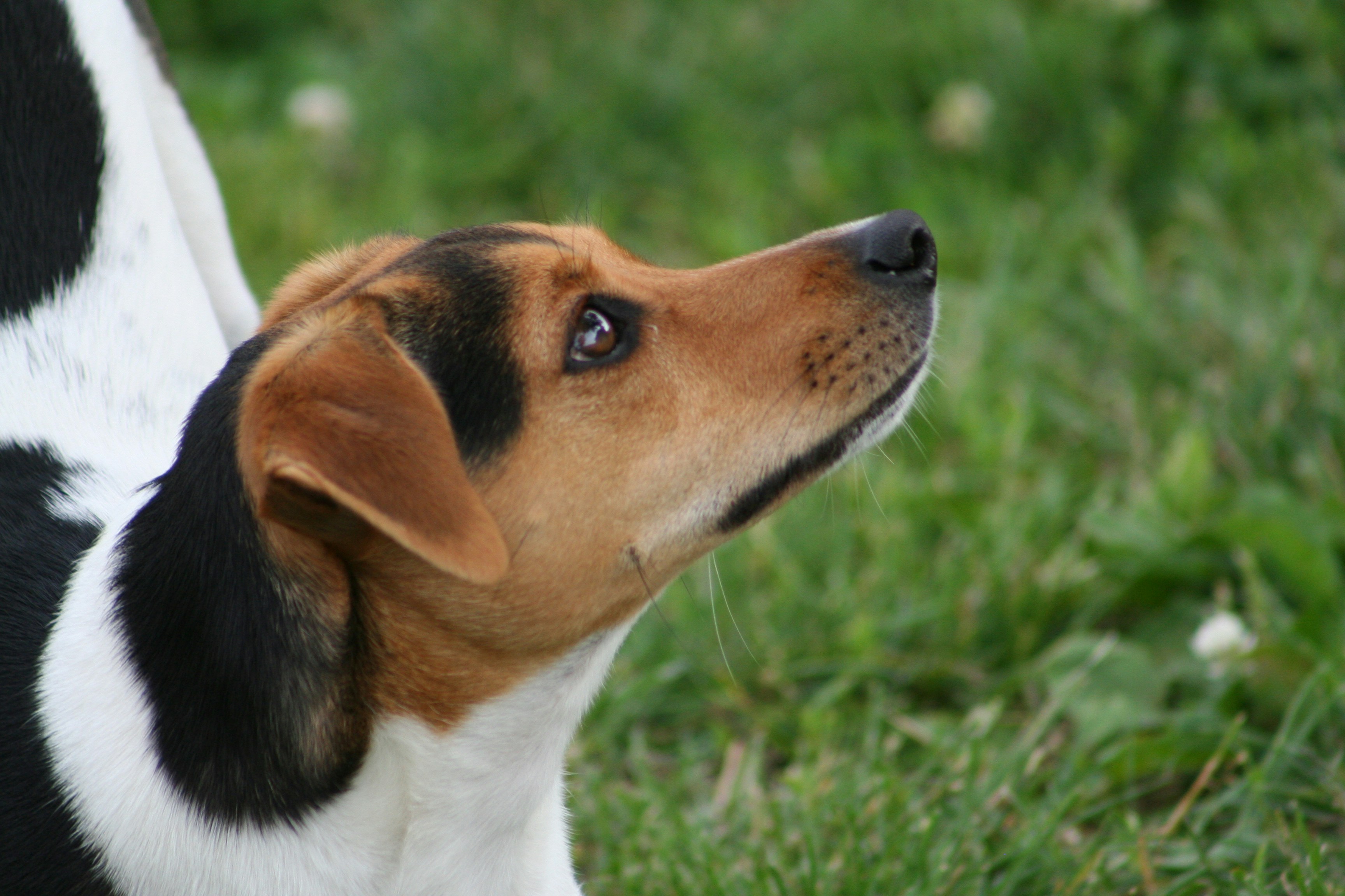 Photo by krazekatlady