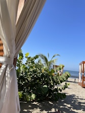 A beach scene featuring lush green foliage and palm trees against a clear blue sky. Wooden cabanas with white curtains and sandy ground add a relaxing atmosphere to the scenery. The ocean is visible in the background, contributing to the tranquil vibe.