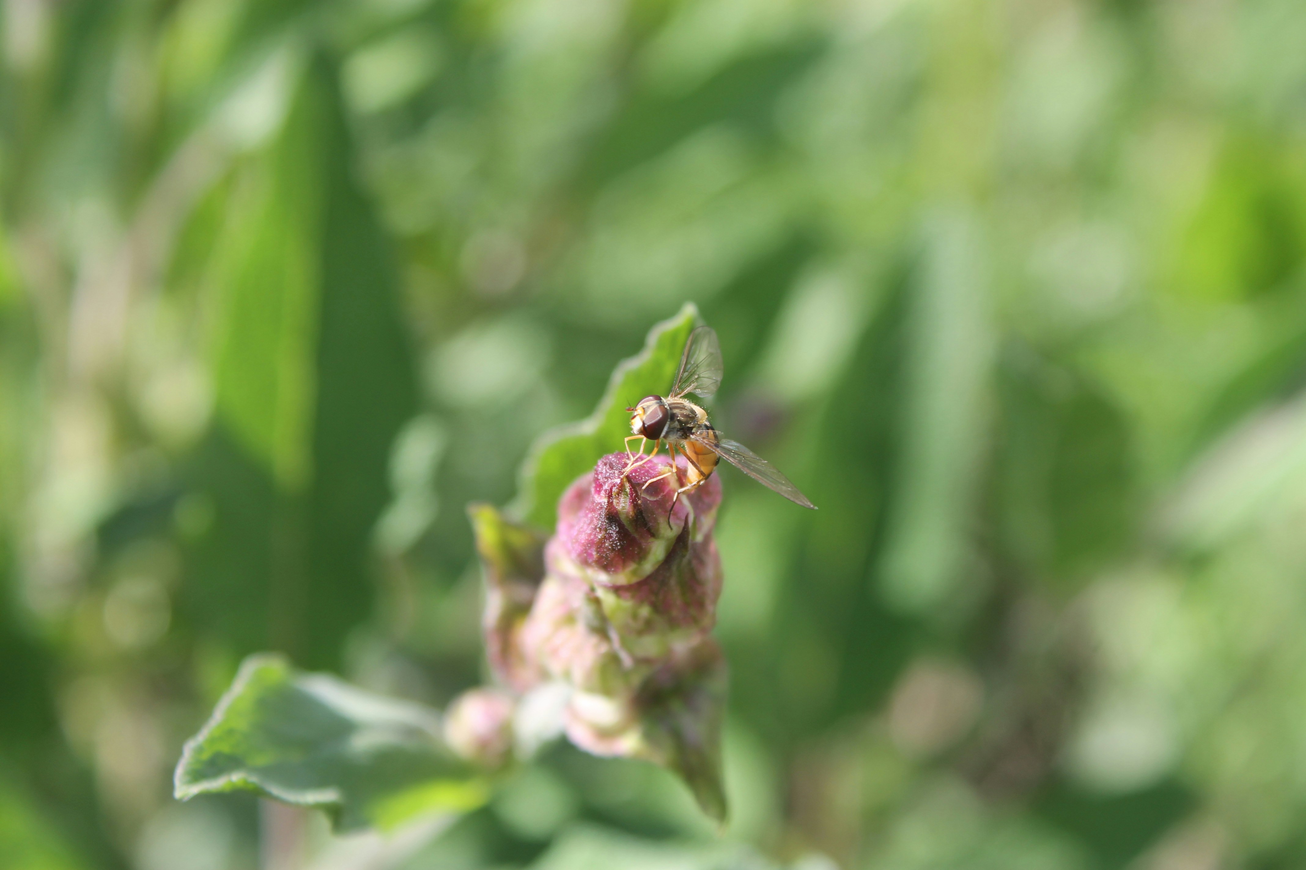 Photo by seedfeed