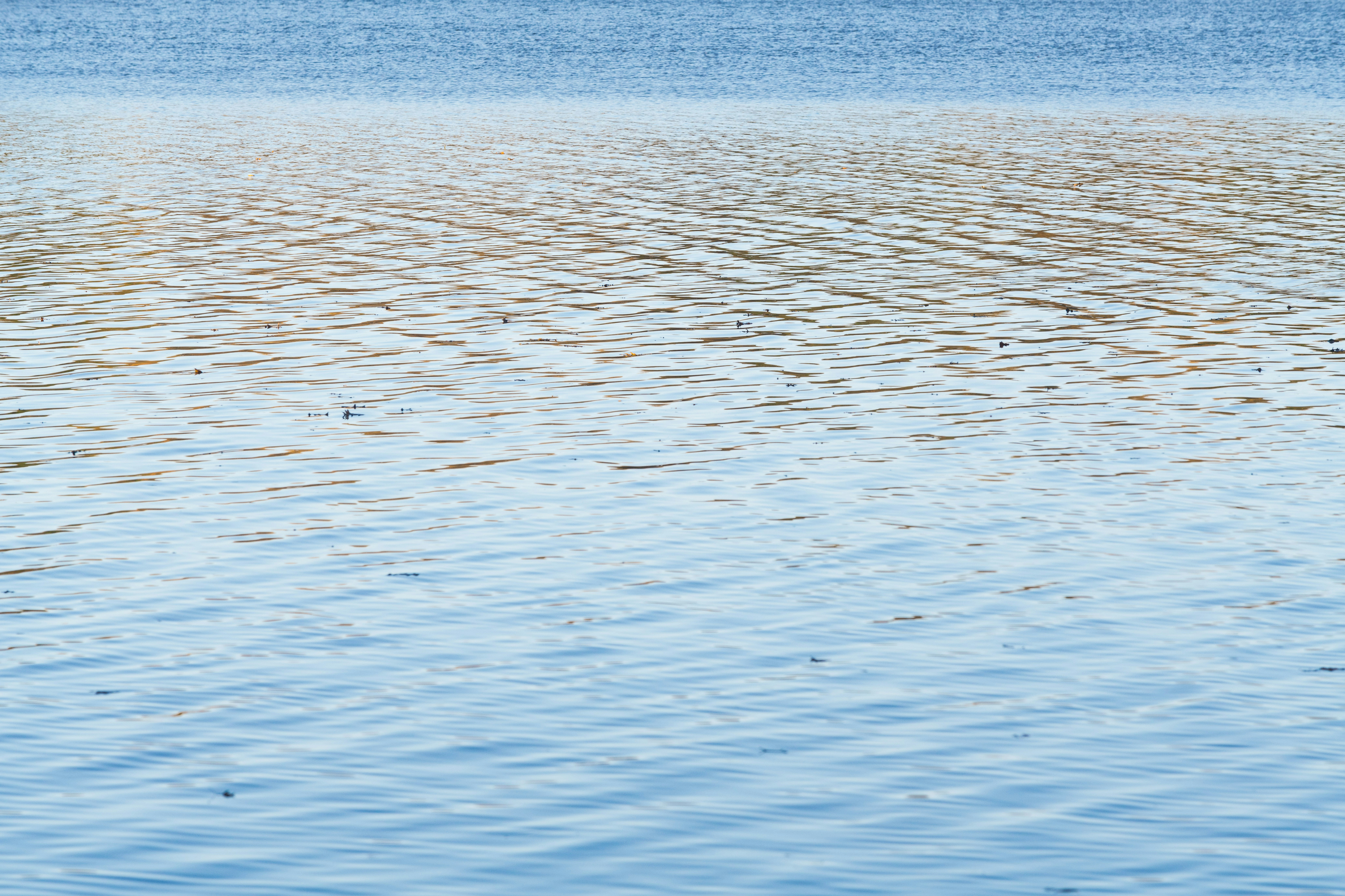 Photo by sriniunsplash