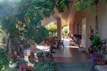 A lush garden patio is adorned with various potted plants and blooming flowers. The space features wooden furniture, including a dining table and chairs, set on terracotta tiles. Sunlight filters through leafy green vines that create natural shade. Decorative elements like lanterns and sculptures add to the serene atmosphere.