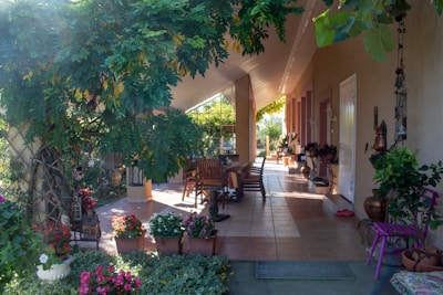 A lush garden patio is adorned with various potted plants and blooming flowers. The space features wooden furniture, including a dining table and chairs, set on terracotta tiles. Sunlight filters through leafy green vines that create natural shade. Decorative elements like lanterns and sculptures add to the serene atmosphere.