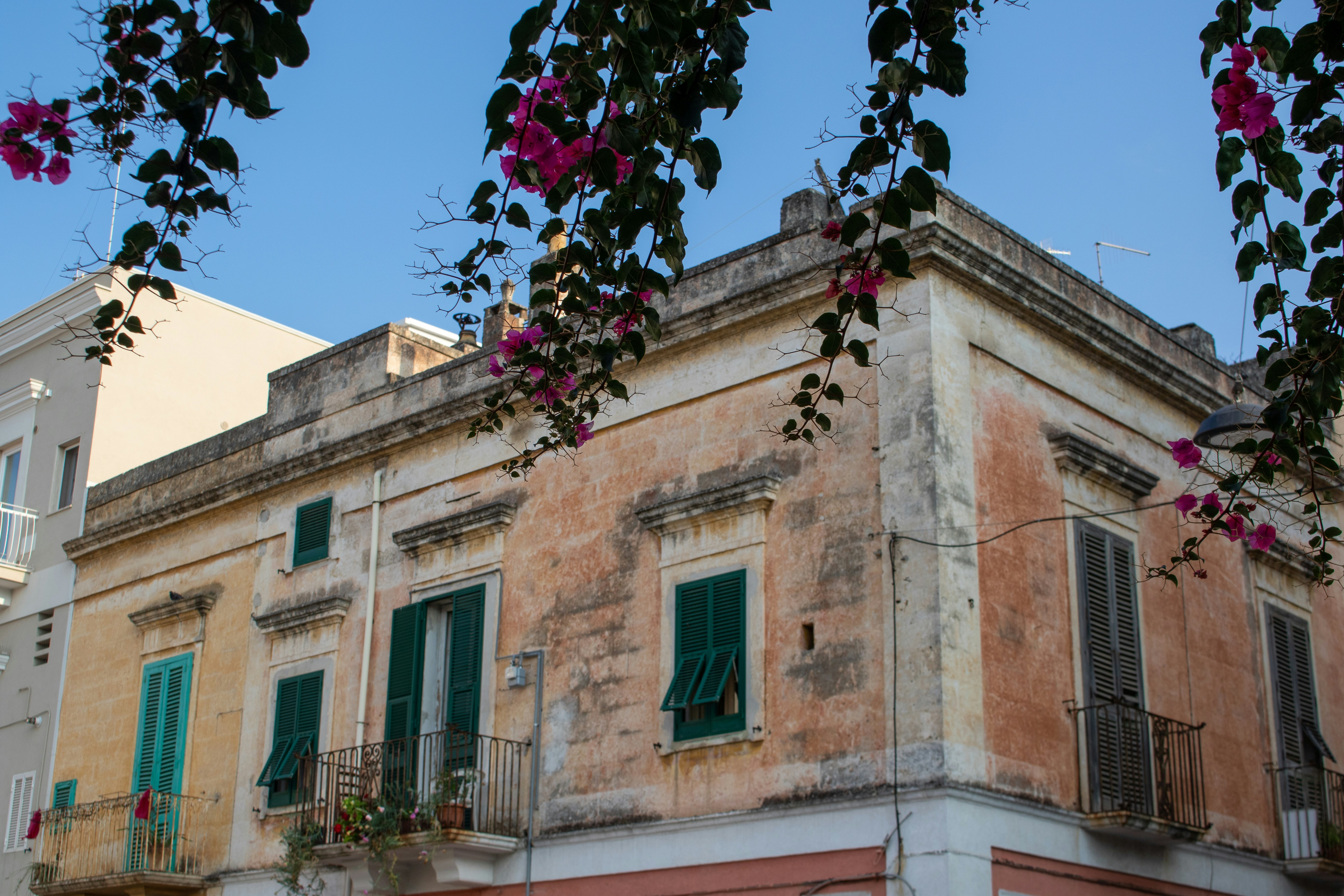 Photo by catt_titude