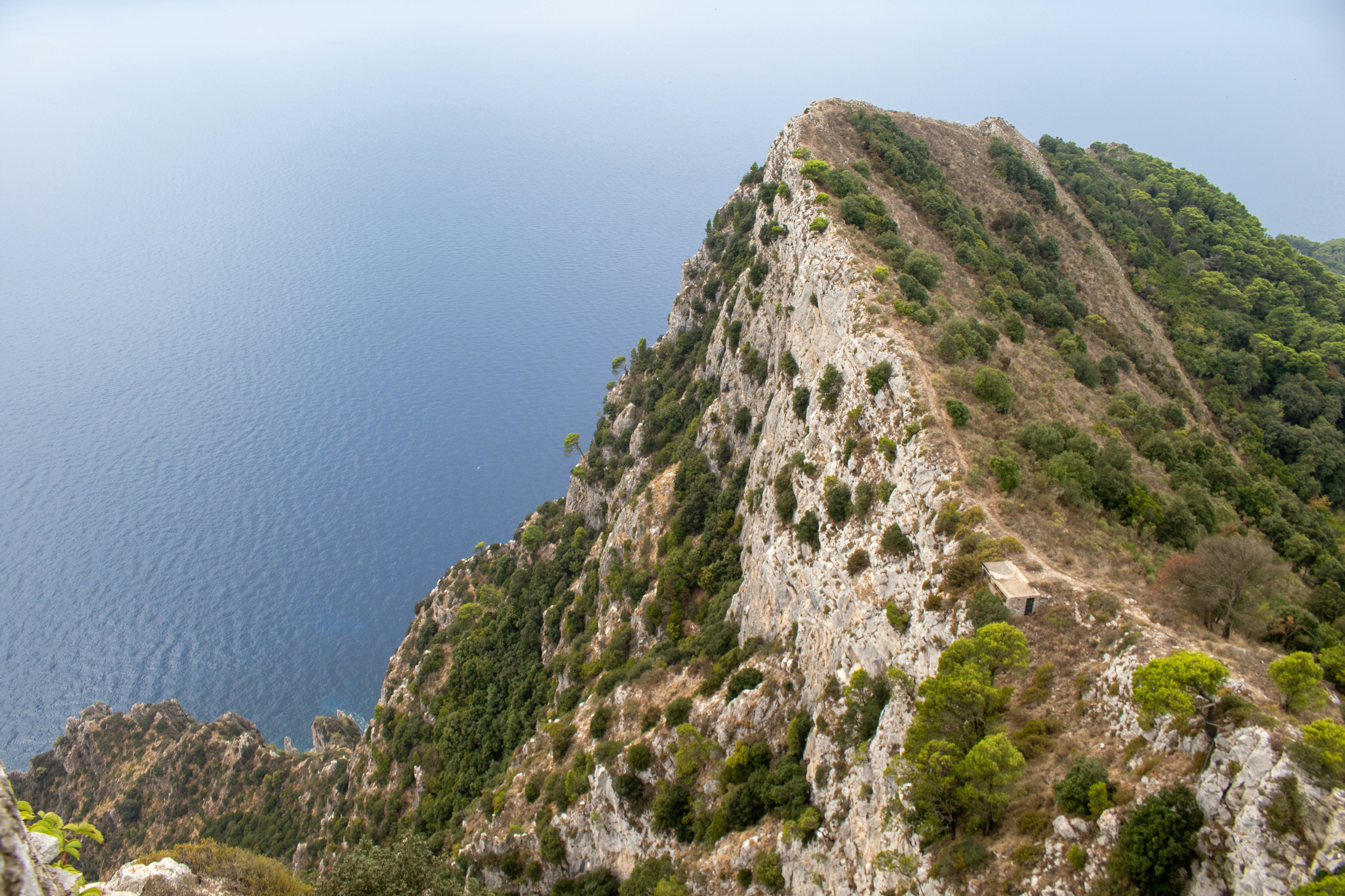 Photo by catt_titude