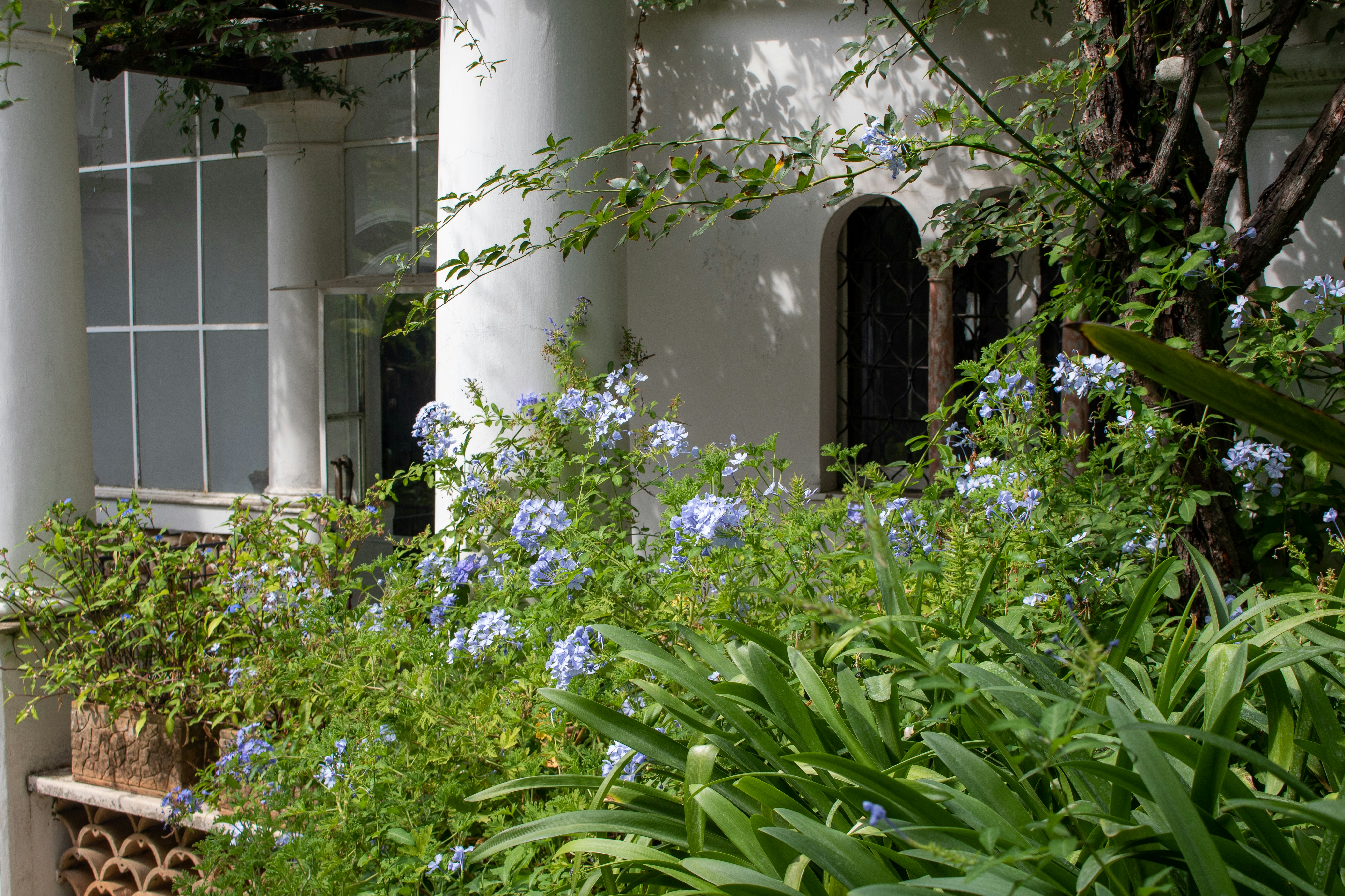 Photo by catt_titude