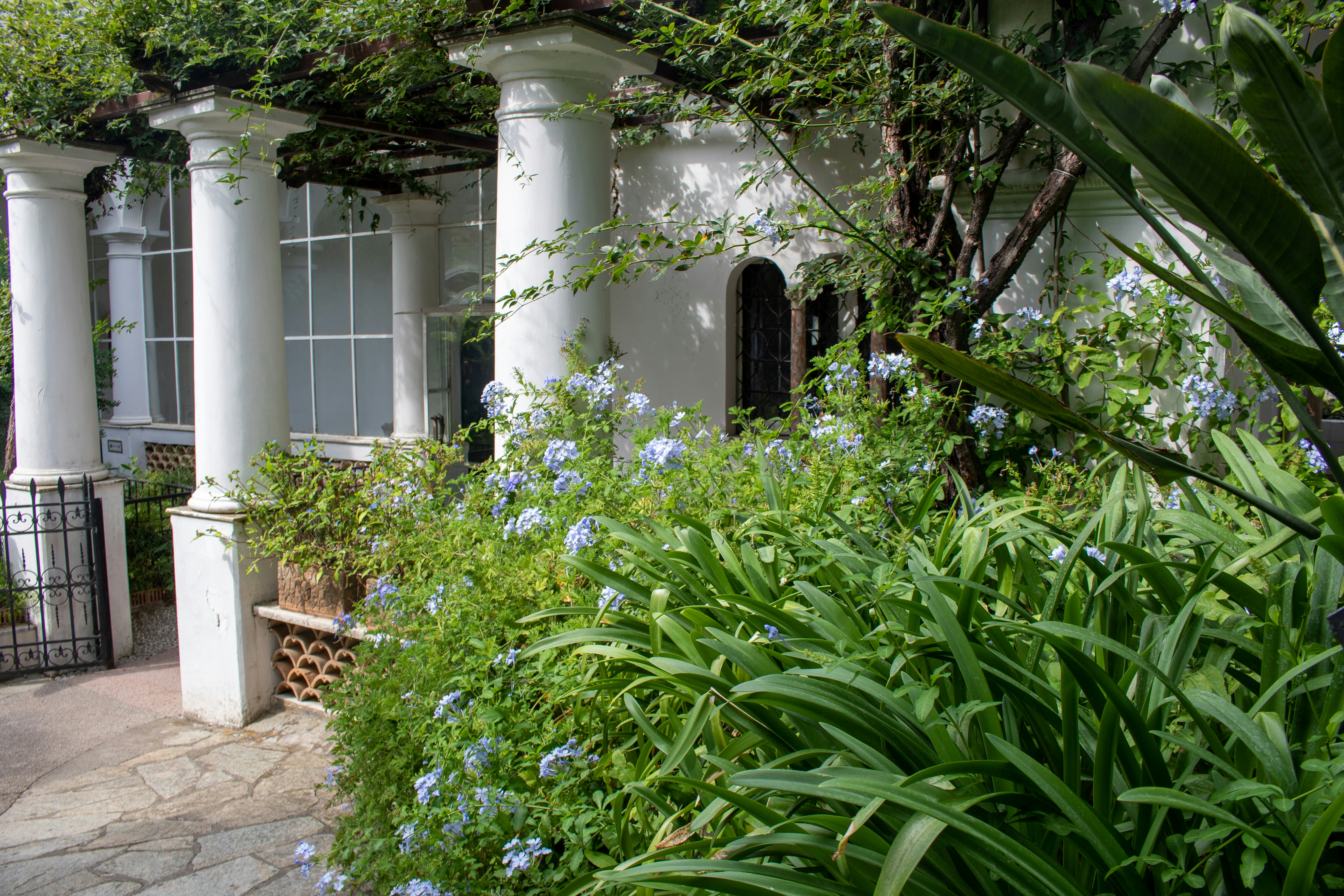 Photo by catt_titude