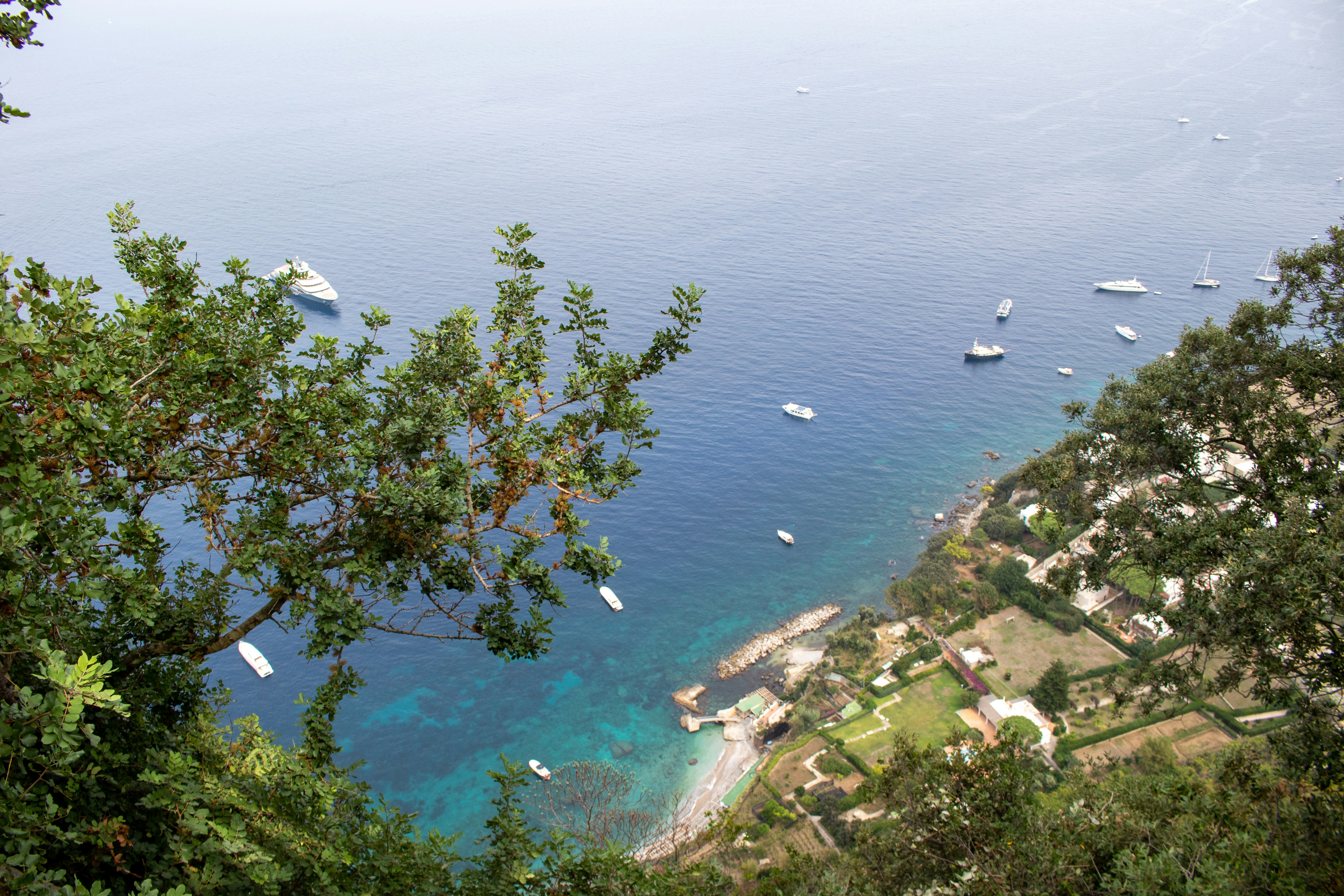 Photo by catt_titude