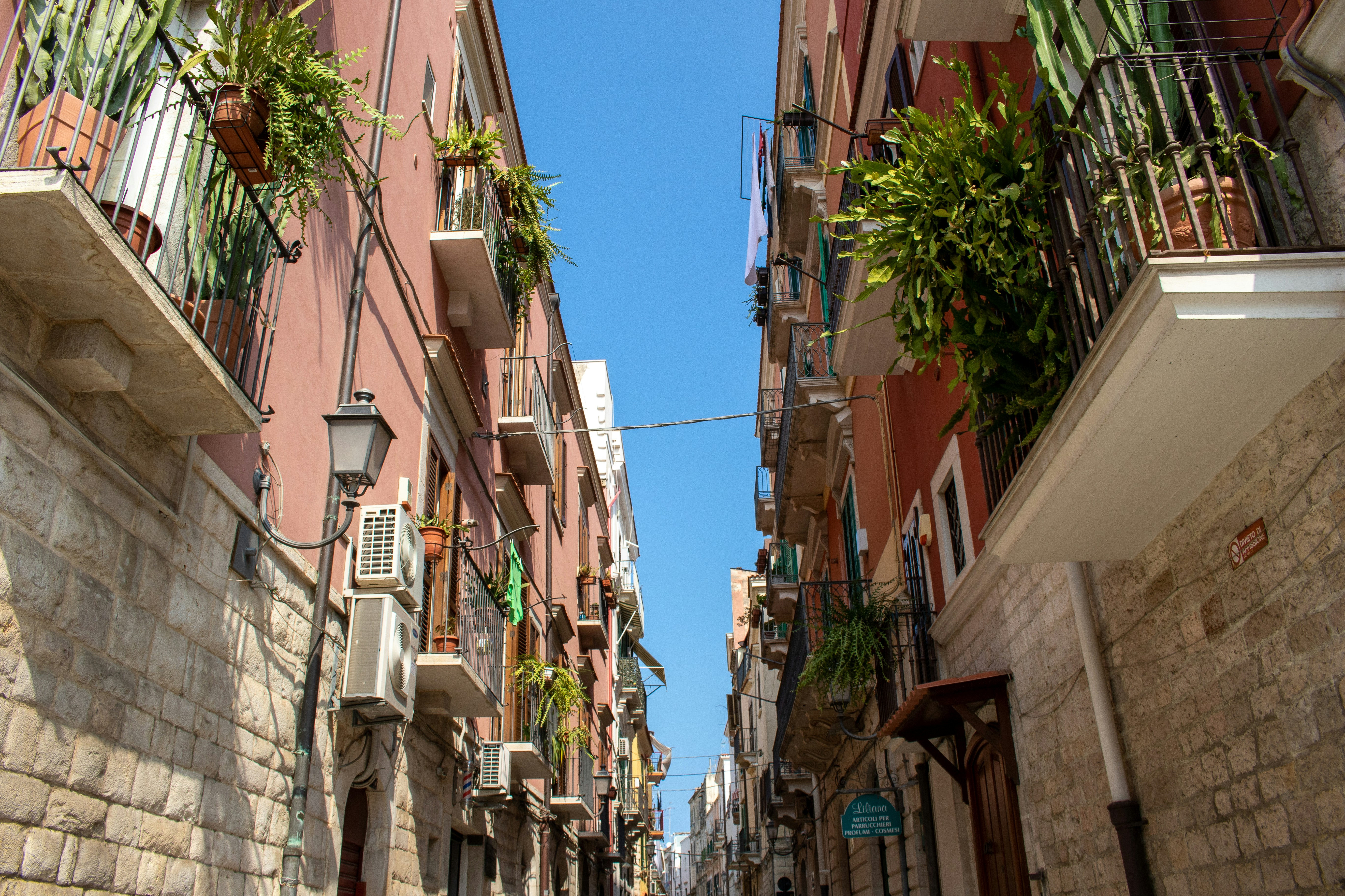 Photo by catt_titude