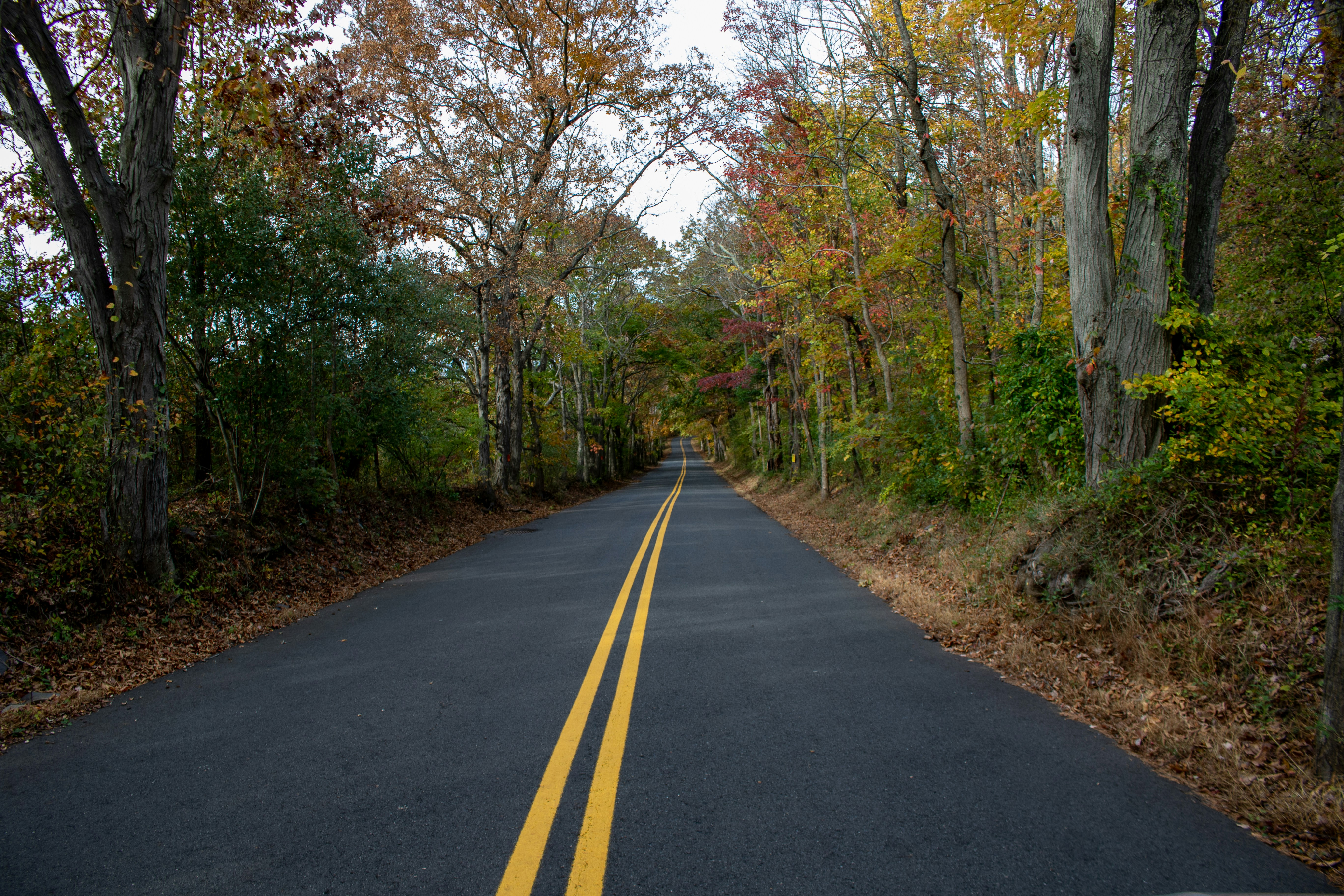 Photo by catt_titude