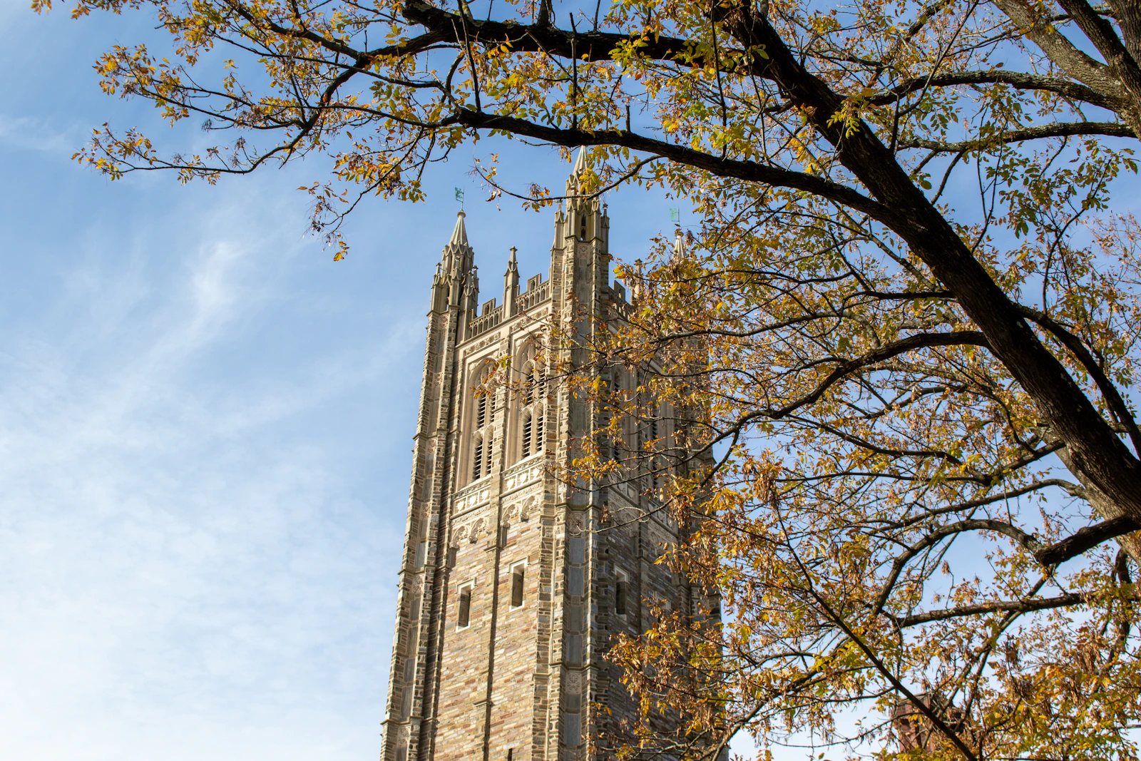 Collegiate Gothic university campus with central tower