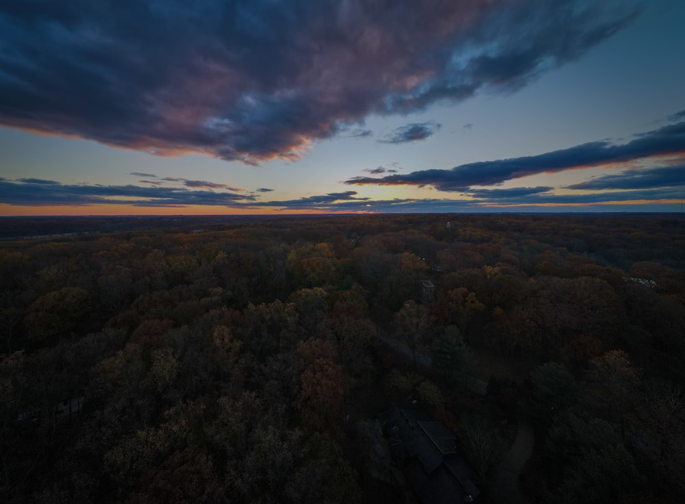 an aerial view of a forest at sunset