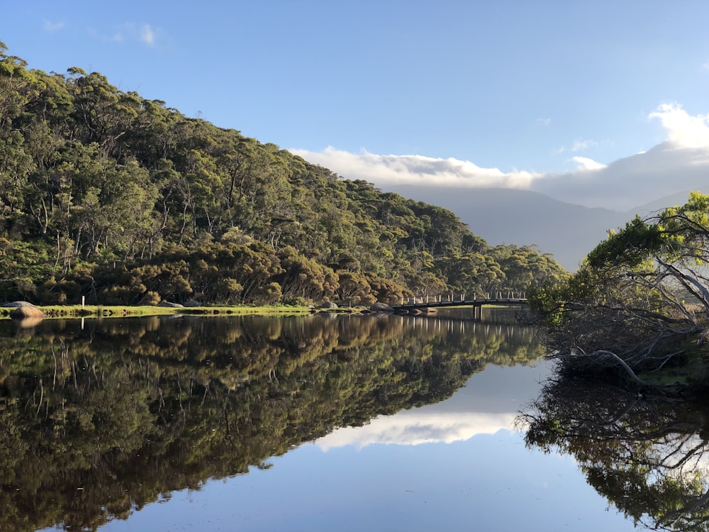 a body of water surrounded by trees and a bridge