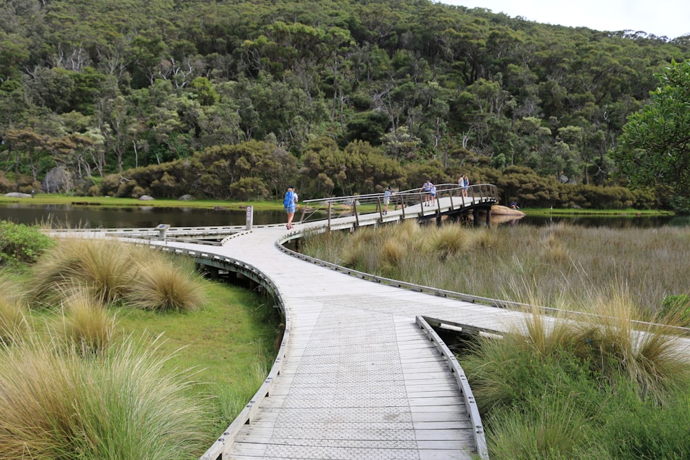 a wooden bridge over a body of water