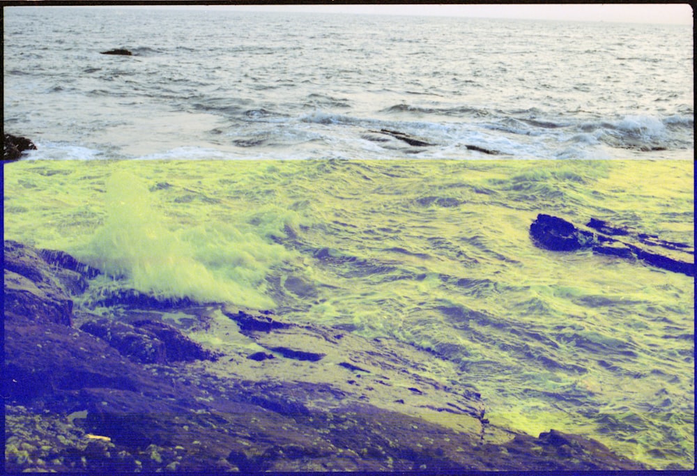 a picture of a body of water with algae on it