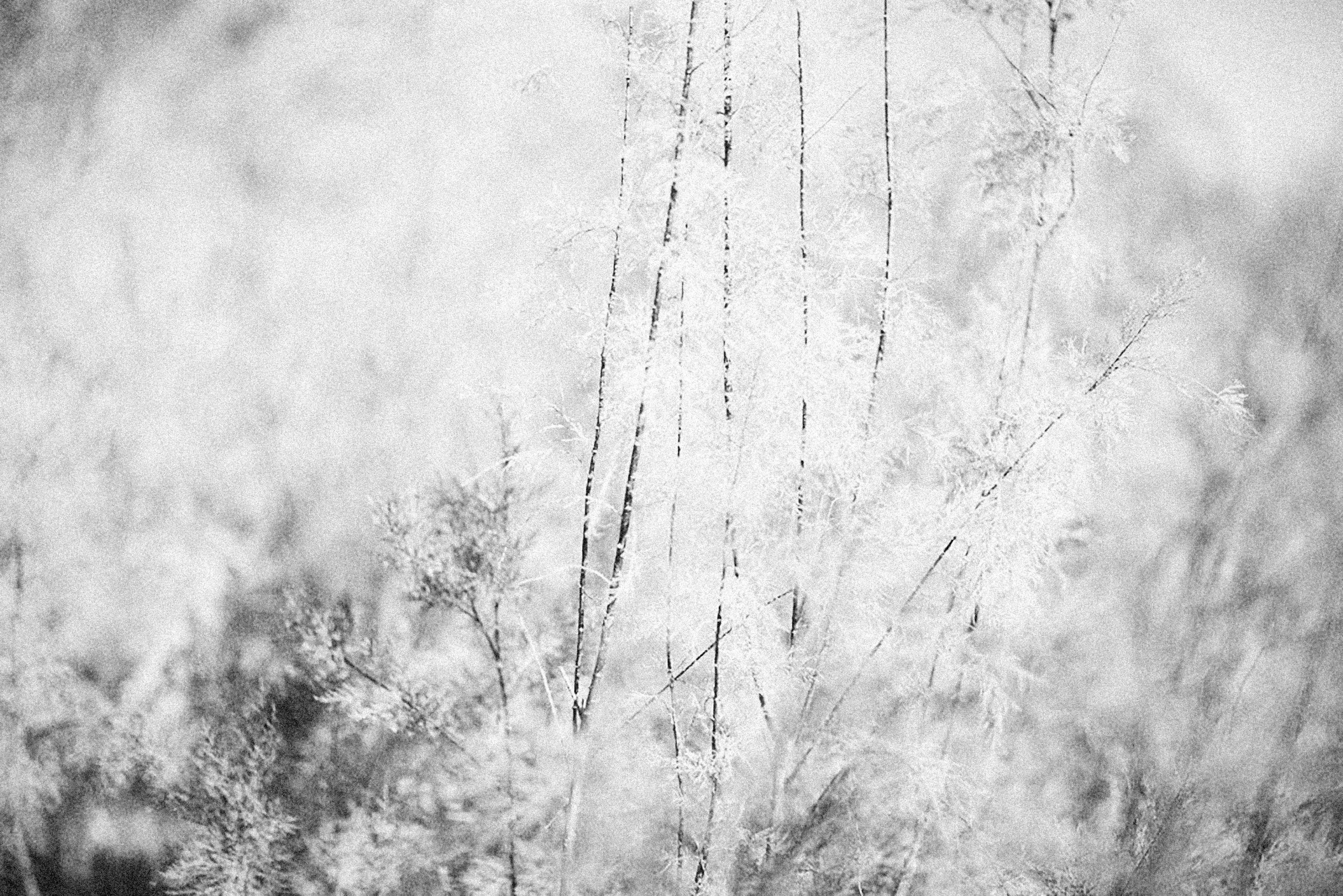 Photo by alexeydemidov