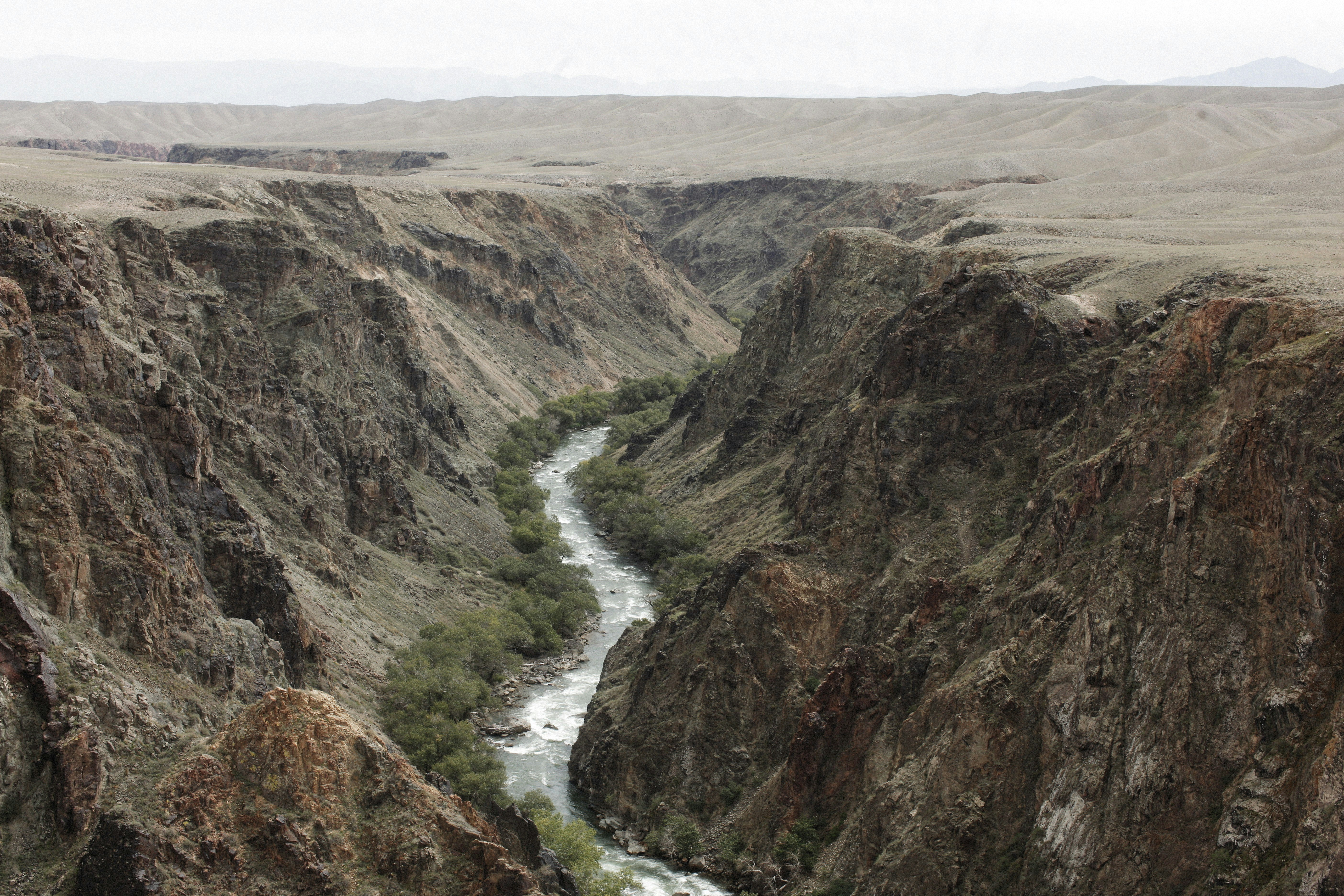 Photo by alexeydemidov