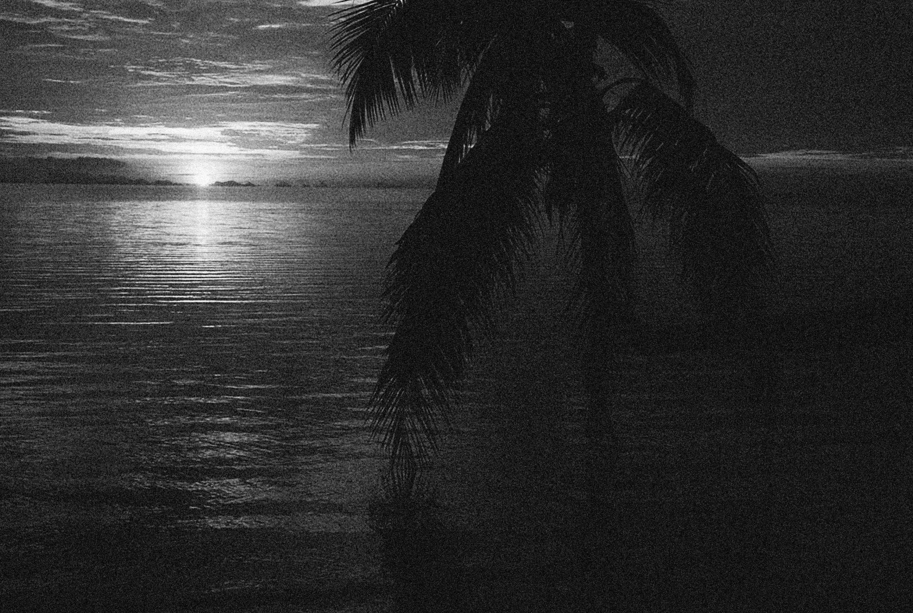 Photo by alexeydemidov