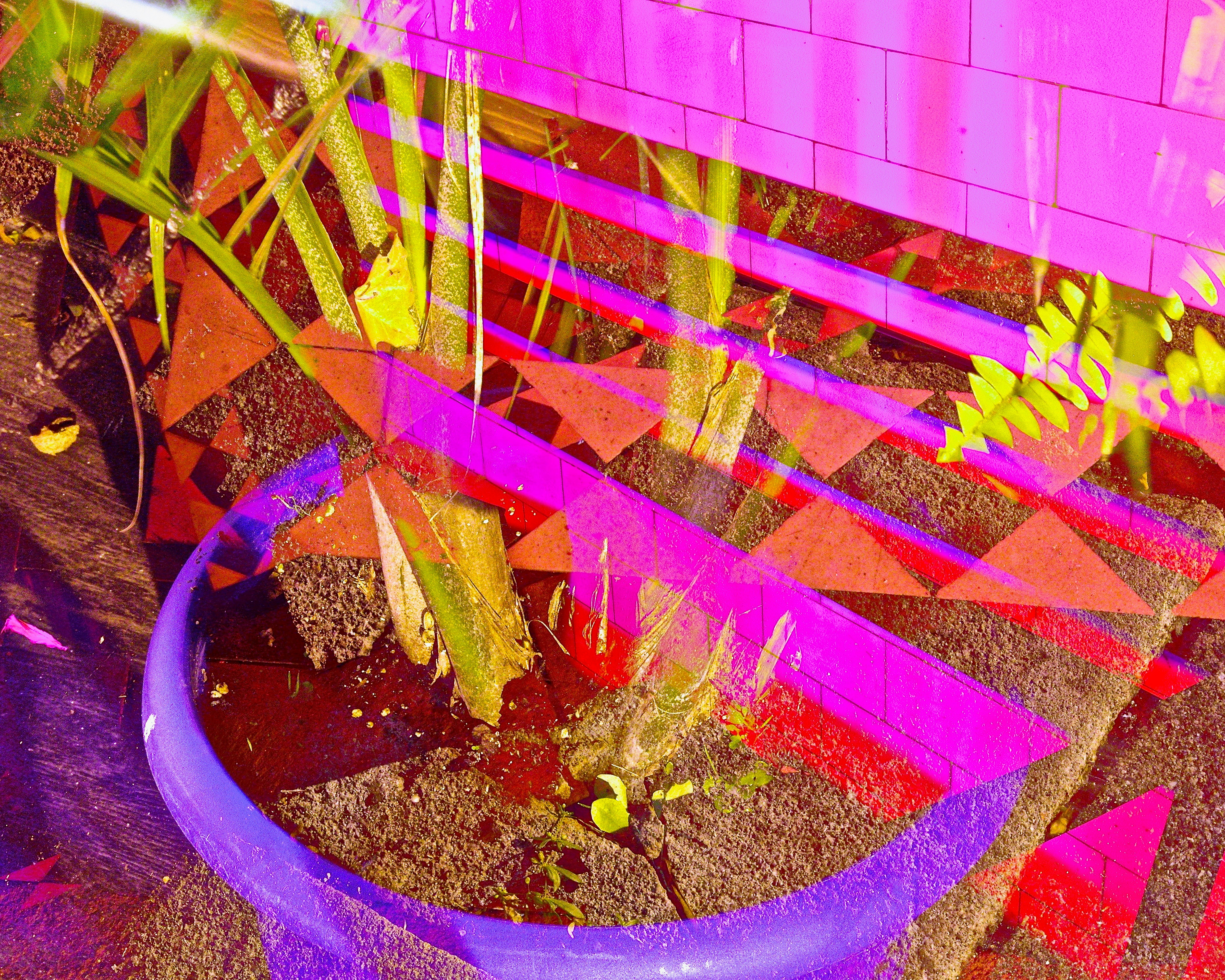 Rébellion Botanique