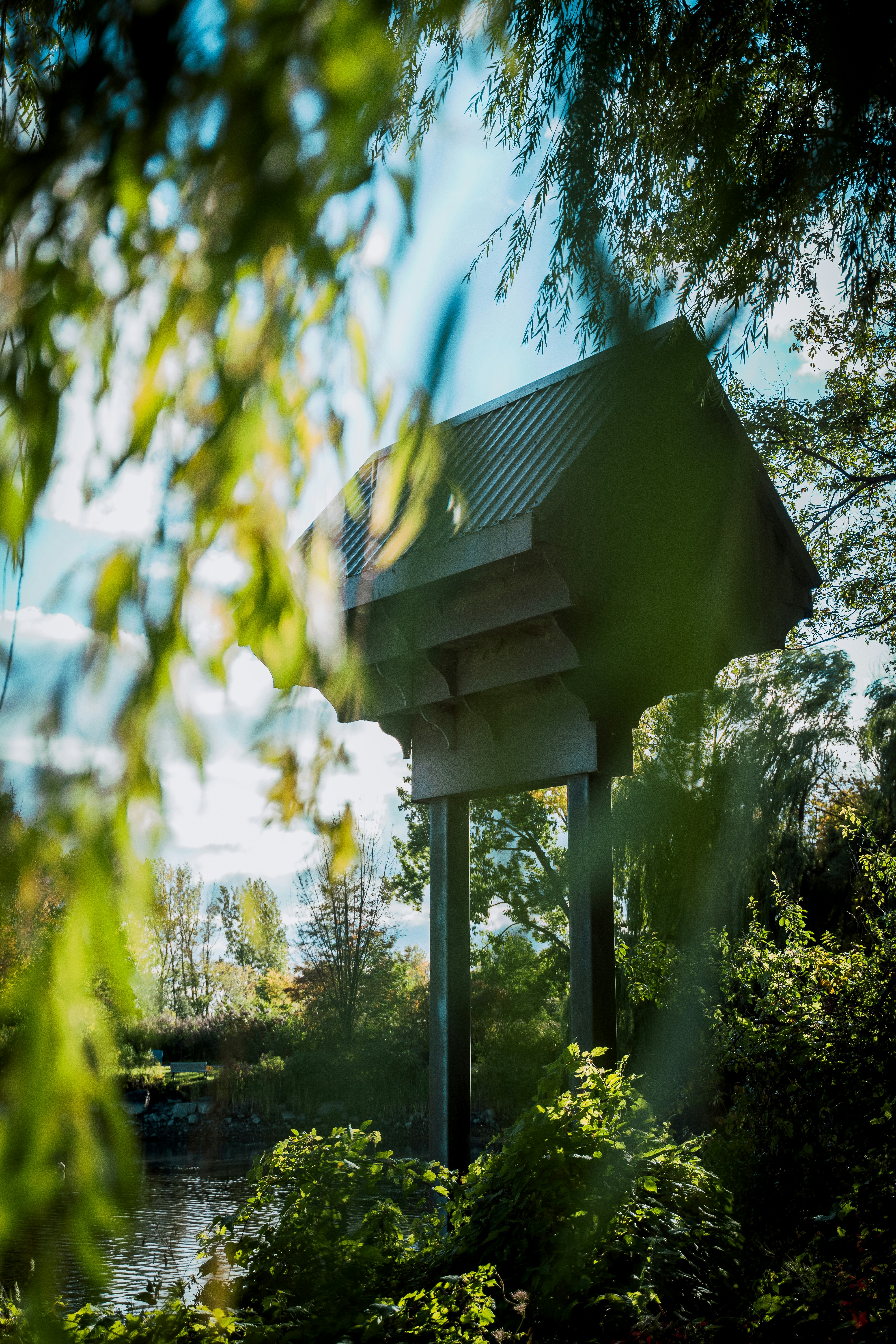 un belvédère au milieu d’une zone boisée