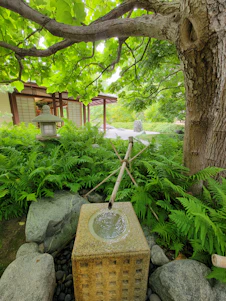 A serene Japanese garden featuring a mature bonsai tree and traditional stone lanterns.