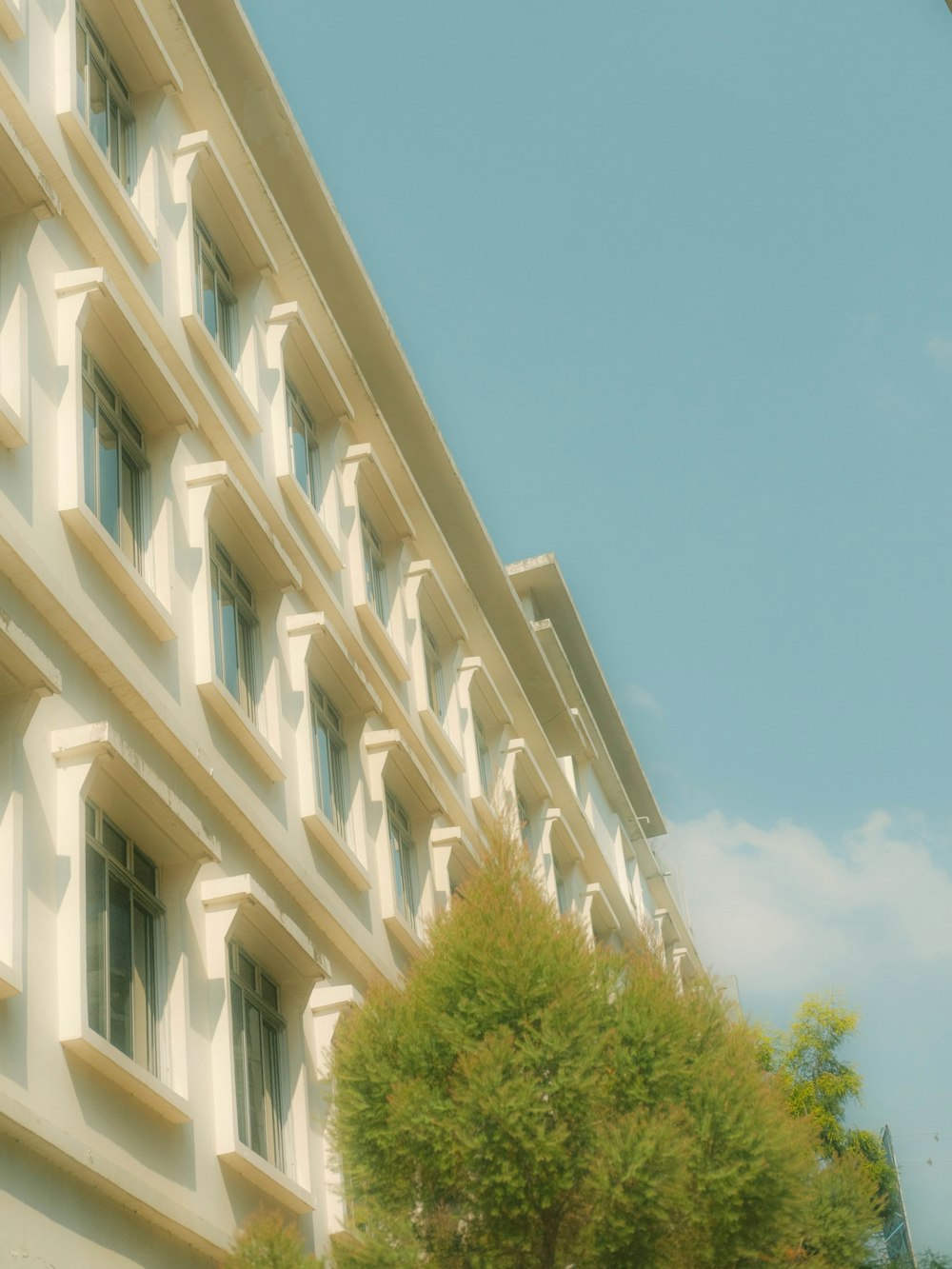 a large white building with many windows and trees