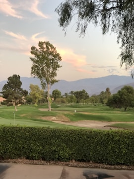 A serene landscape featuring a well-maintained golf course surrounded by lush green grass and trees. In the background, a range of mountains is visible against a soft, pastel-colored sky at sunset. A neatly trimmed hedge borders the foreground, offering a view of the expansive open space.