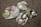 Several crushed aluminum beverage cans lie on a textured carpet. The cans appear to be from different brands, with some displaying remnants of colorful labels and distinctive pull tabs. The background is made up of a brown and beige patterned carpet.