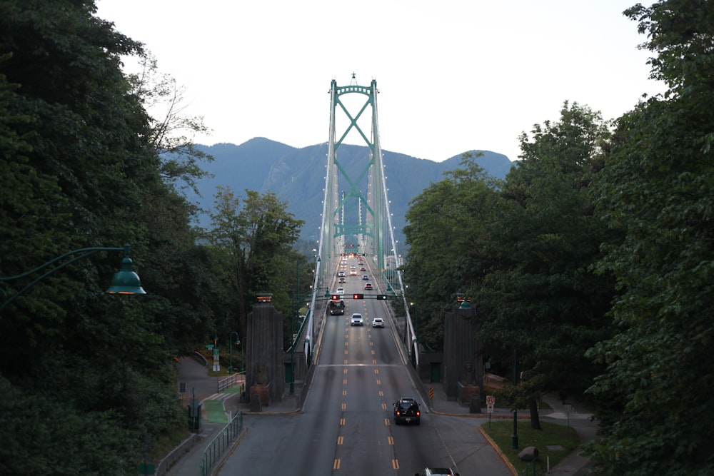 a view of a bridge from the top of a hill