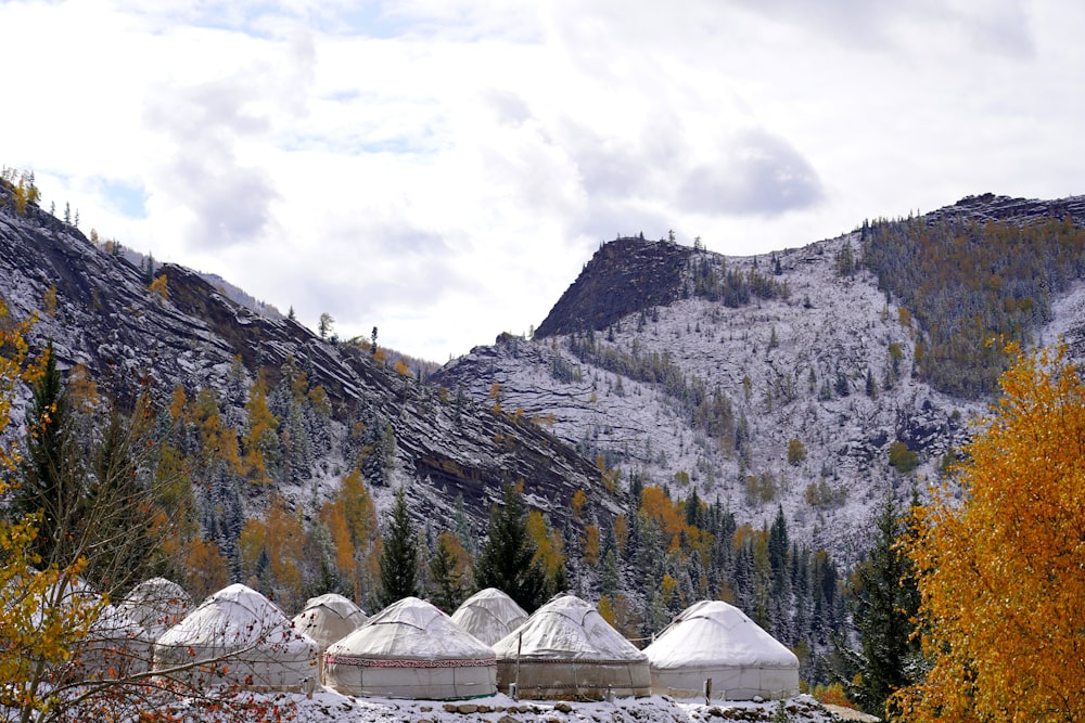 a group of yurts sitting in the middle of a forest