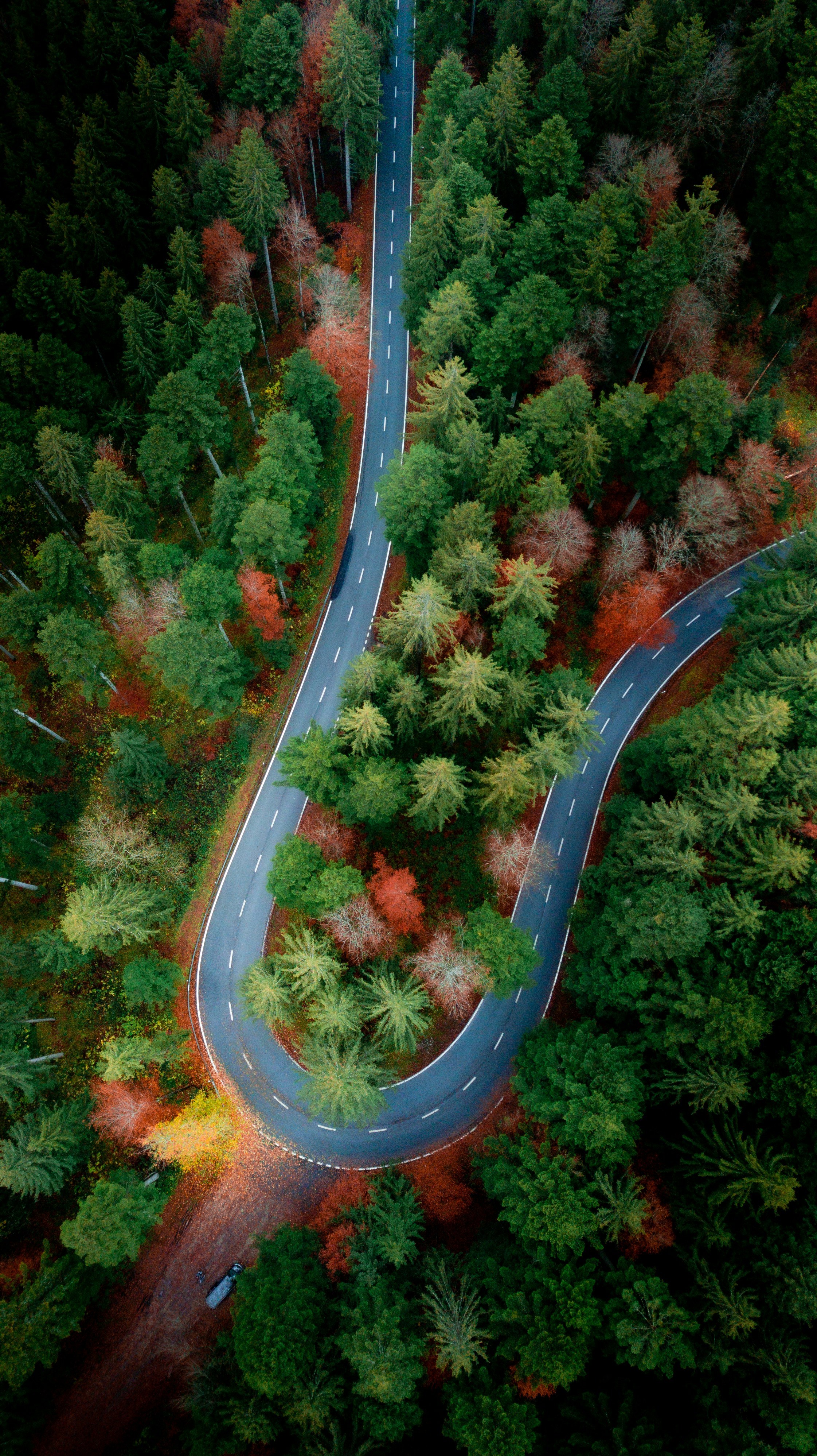 Photo by benaja_photos