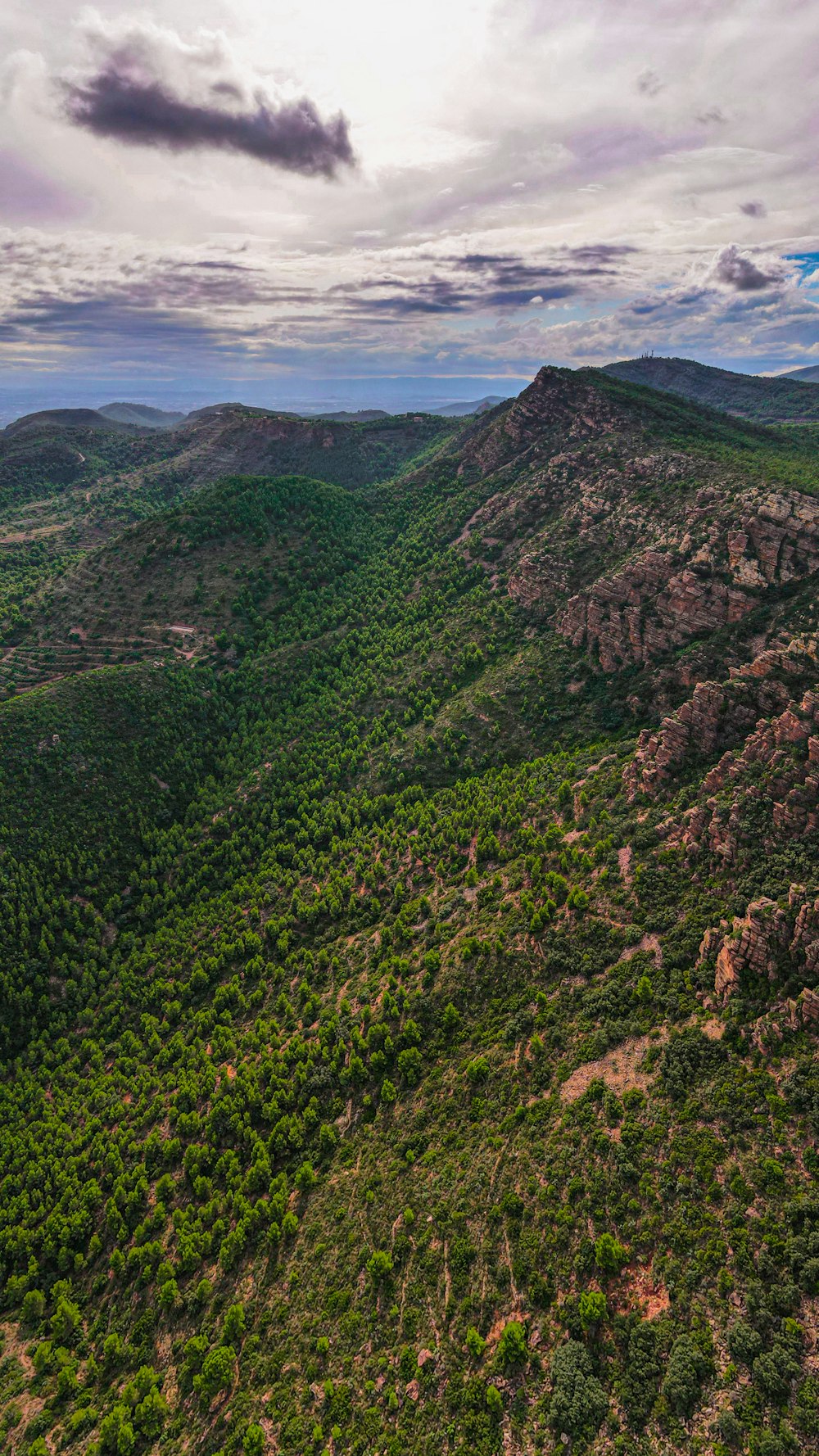 an aerial view of a forest and mountains