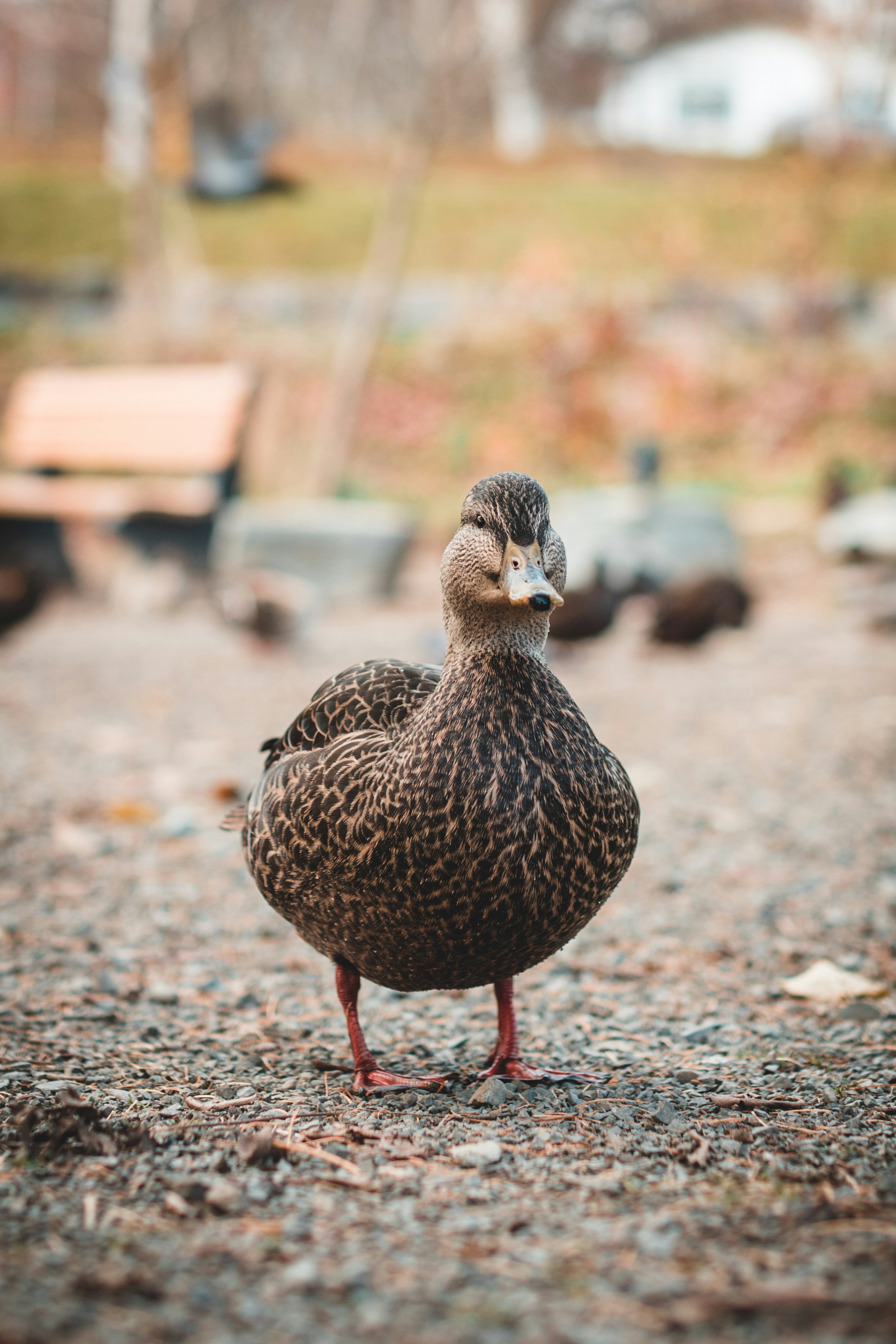 Photo by theshuttervision