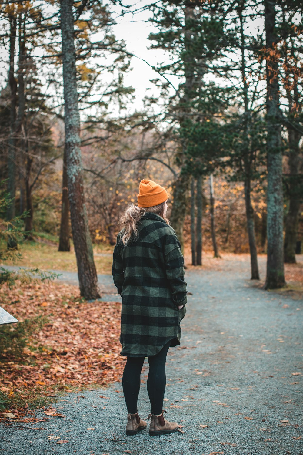 a person standing on a path in the woods