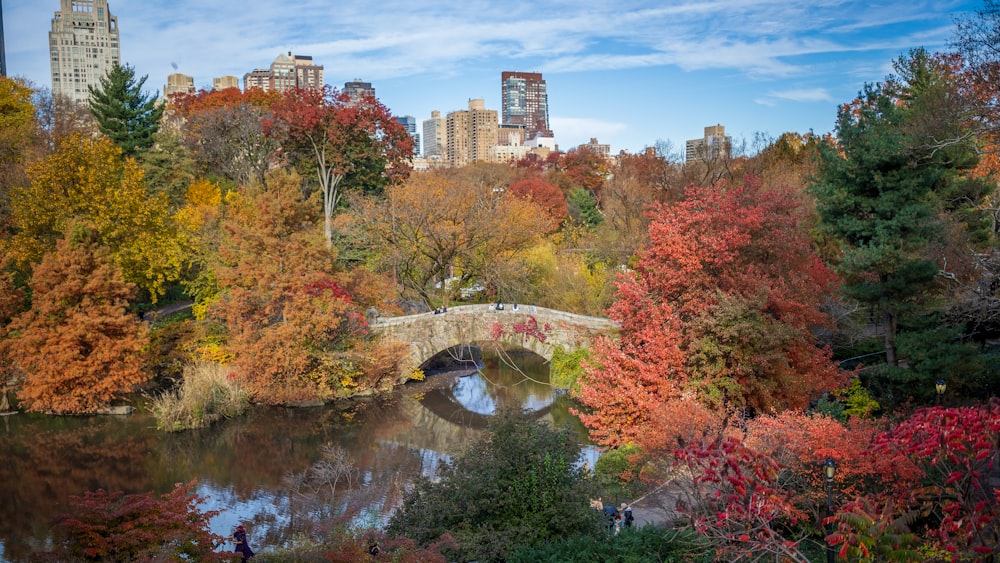 a bridge over a river surrounded by trees