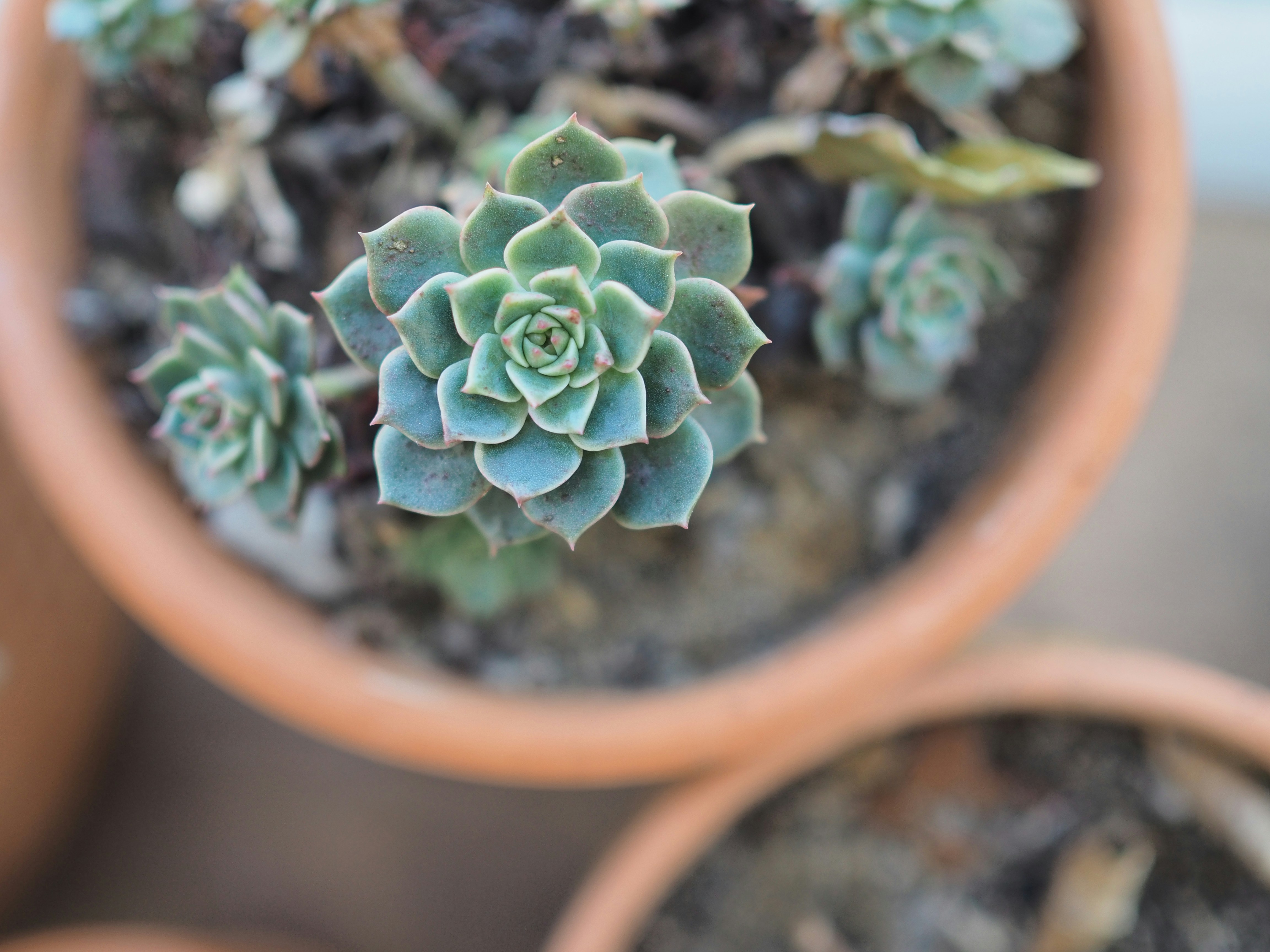 Photo by haimourinho