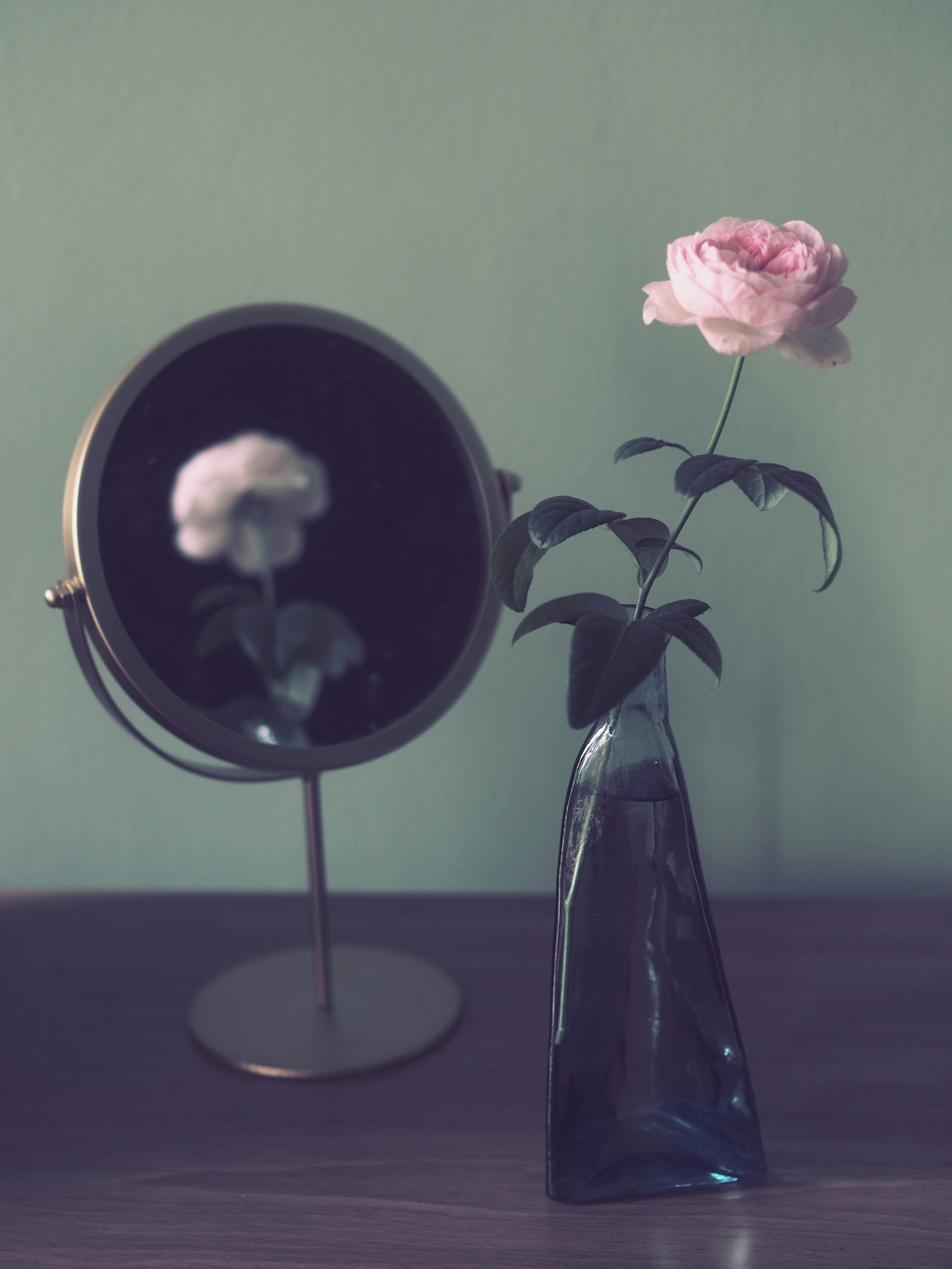 Photo by haimourinho