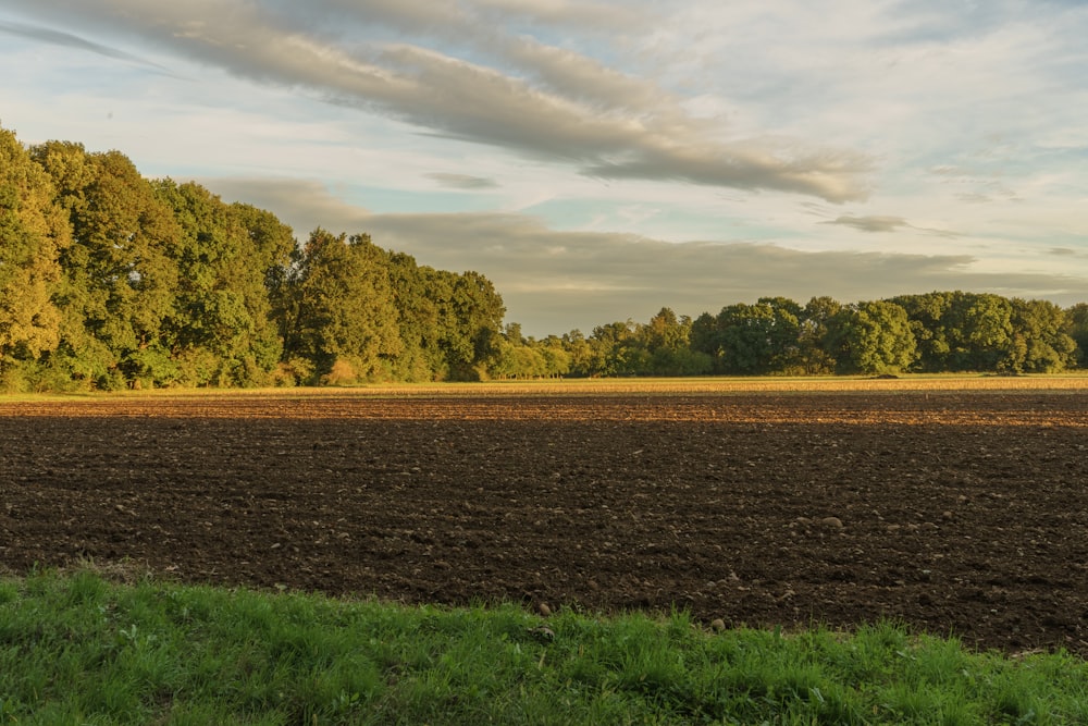 a plowed field with trees in the background