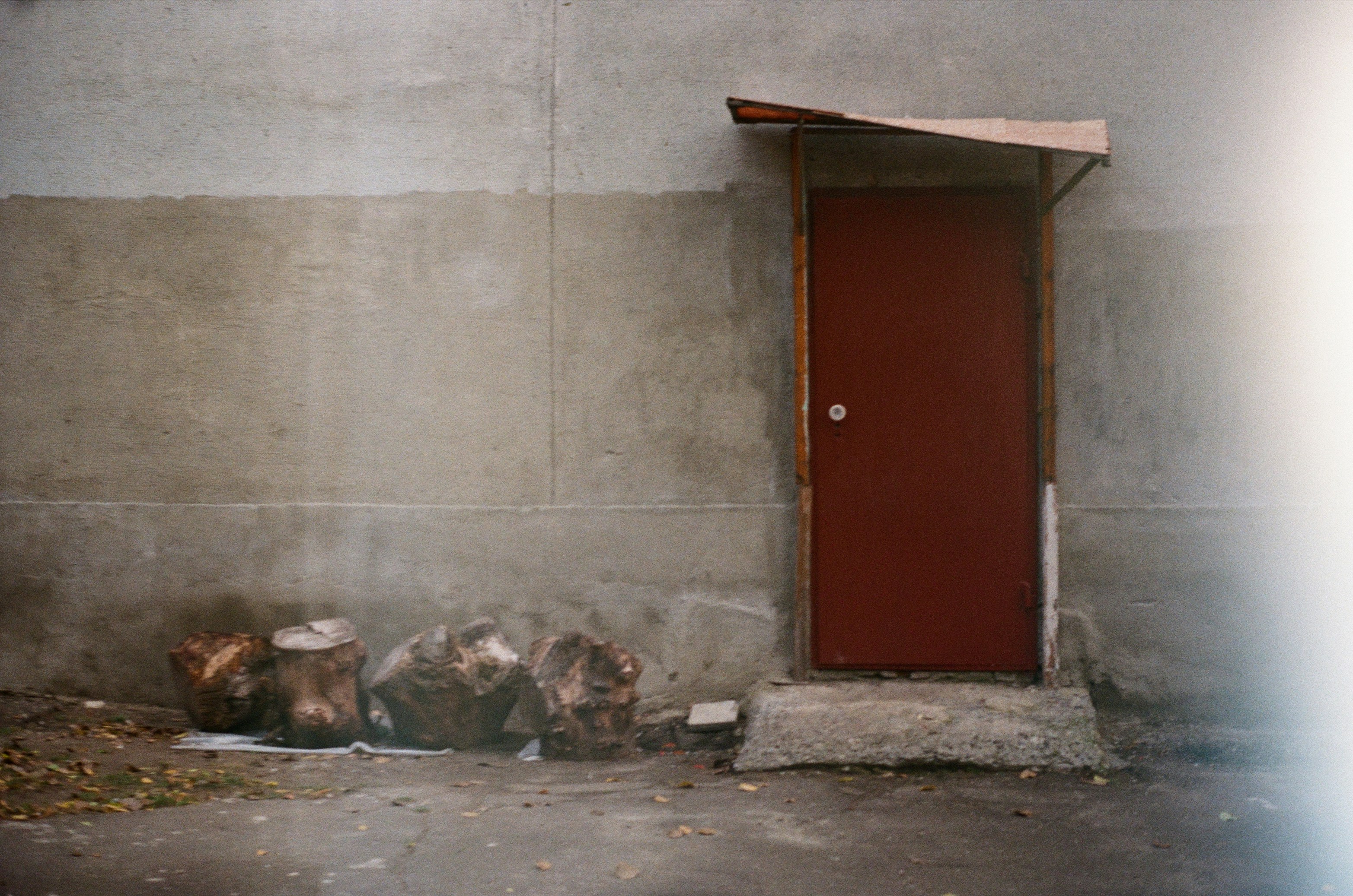 Photo by ana_petrenko