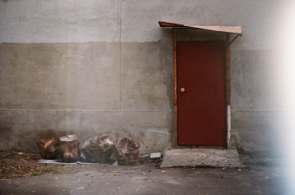 a group of dead animals sitting in front of a door